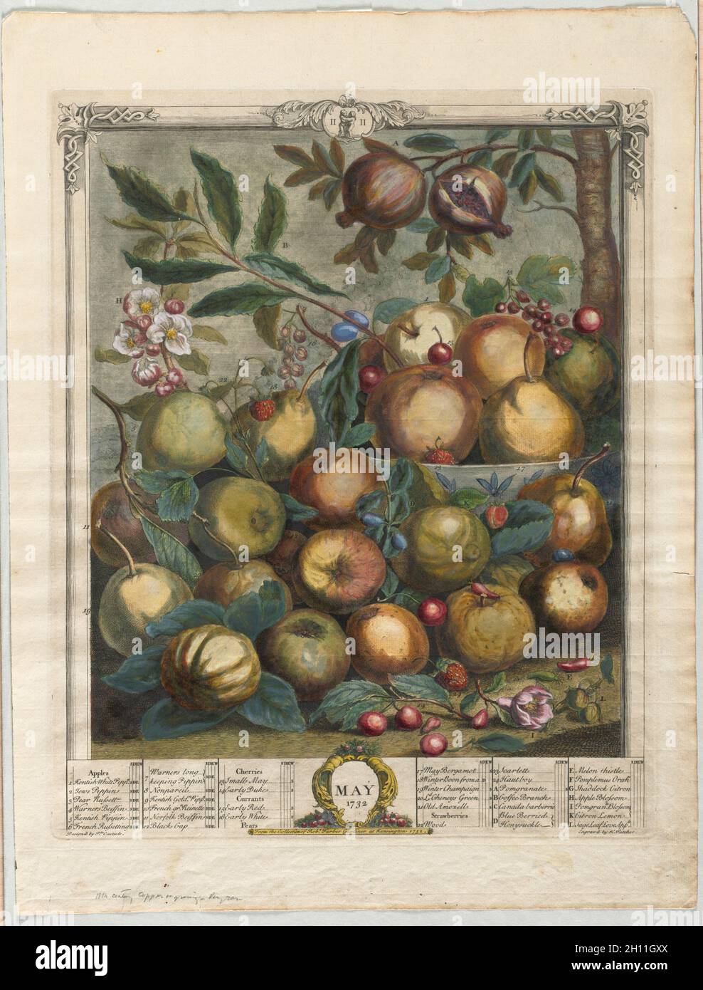 Zwölf Monate Frucht: Mai 1732. Henry Fletcher (britisch, aktiv 1715-38). Gravur, handfarbig; Blatt: 51.8 x 40 cm (20 3/8 x 15 3/4 Zoll); Plattenmark: 43.2 x 34.8 cm (17 x 13 11/16 Zoll). Stockfoto