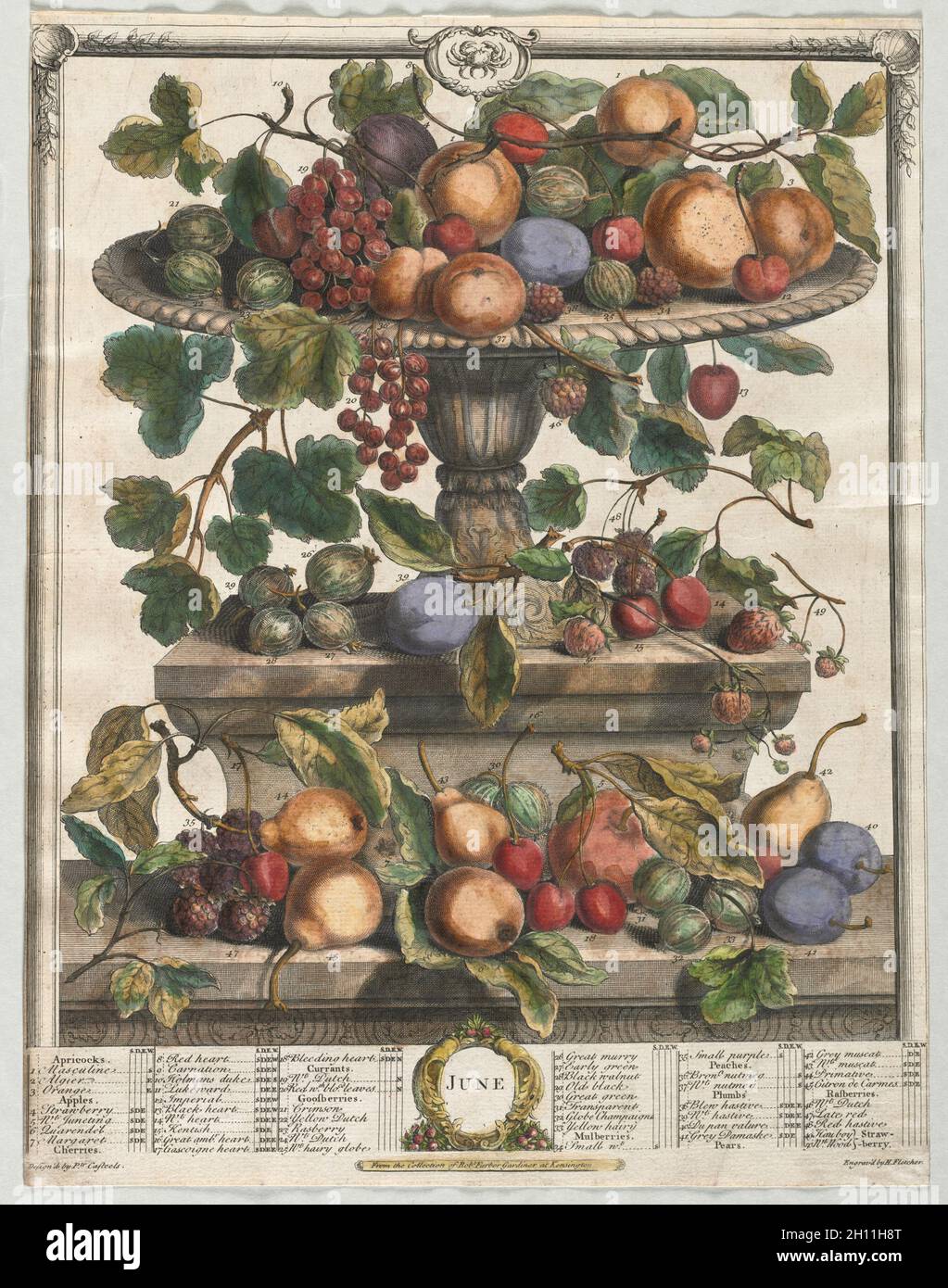 Zwölf Monate Frucht: Juni, 1732. Henry Fletcher (Briten, aktive 1715-38). Gravur, von Hand gefärbt; Blatt: 43,6 x 33,6 cm (17 1/4 x 13 1/4 in.). Stockfoto