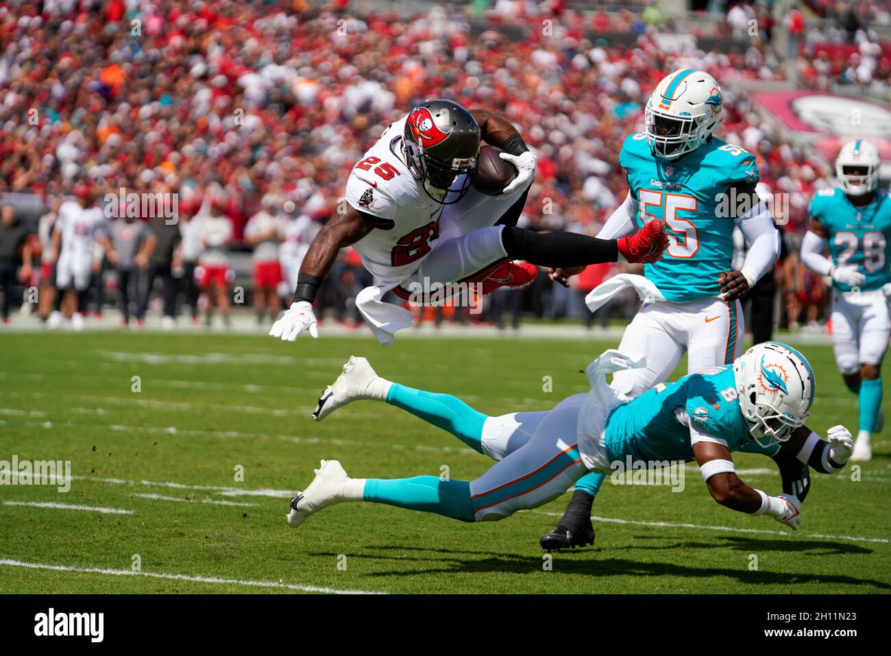 Tampa, USA. Oktober 2021. Tampa Bay Buccaneers laufen zurück Giovani Bernard (25) erzielt einen Touchdown im ersten Quartal gegen die Miami Dolphins im Raymond James Stadium, Sonntag, 10. Oktober 2021 in Tampa, Florida. (Foto von Martha Asencio-Rhine/Tampa Bay Times/TNS/Sipa USA) Quelle: SIPA USA/Alamy Live News Stockfoto