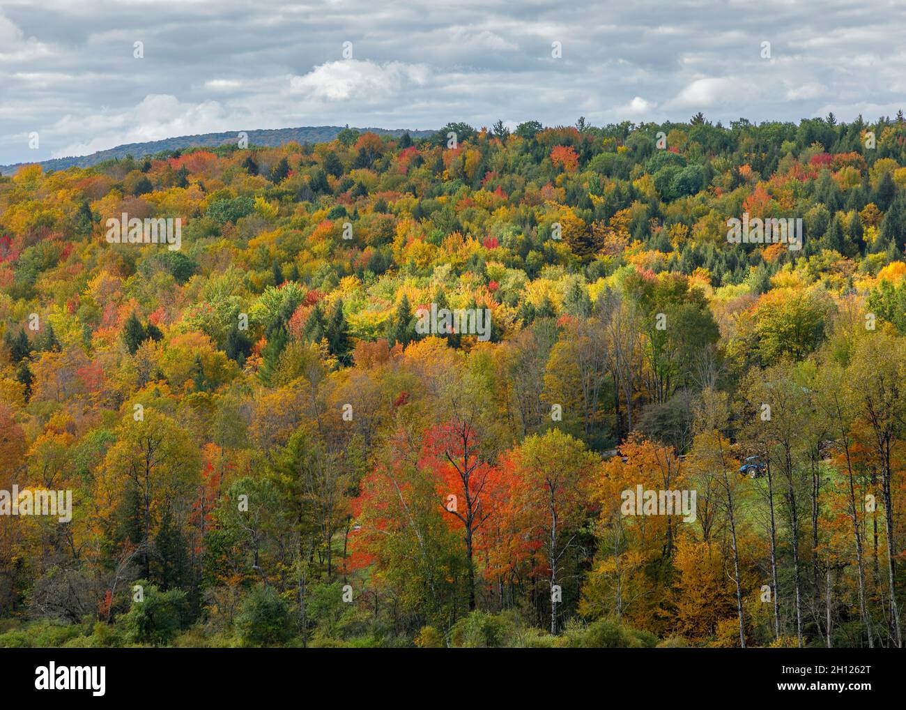 Herbstfarben auf einem Berg in Vermont. Stockfoto