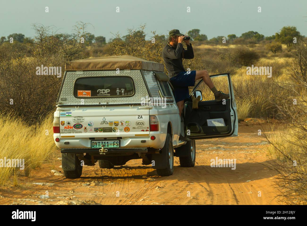 Tourist in einem Safariauto auf der Suche nach Löwen in der Nähe von Mpayathutlwa Pan, Kgalagadi Transfontier Park, Südafrika Stockfoto