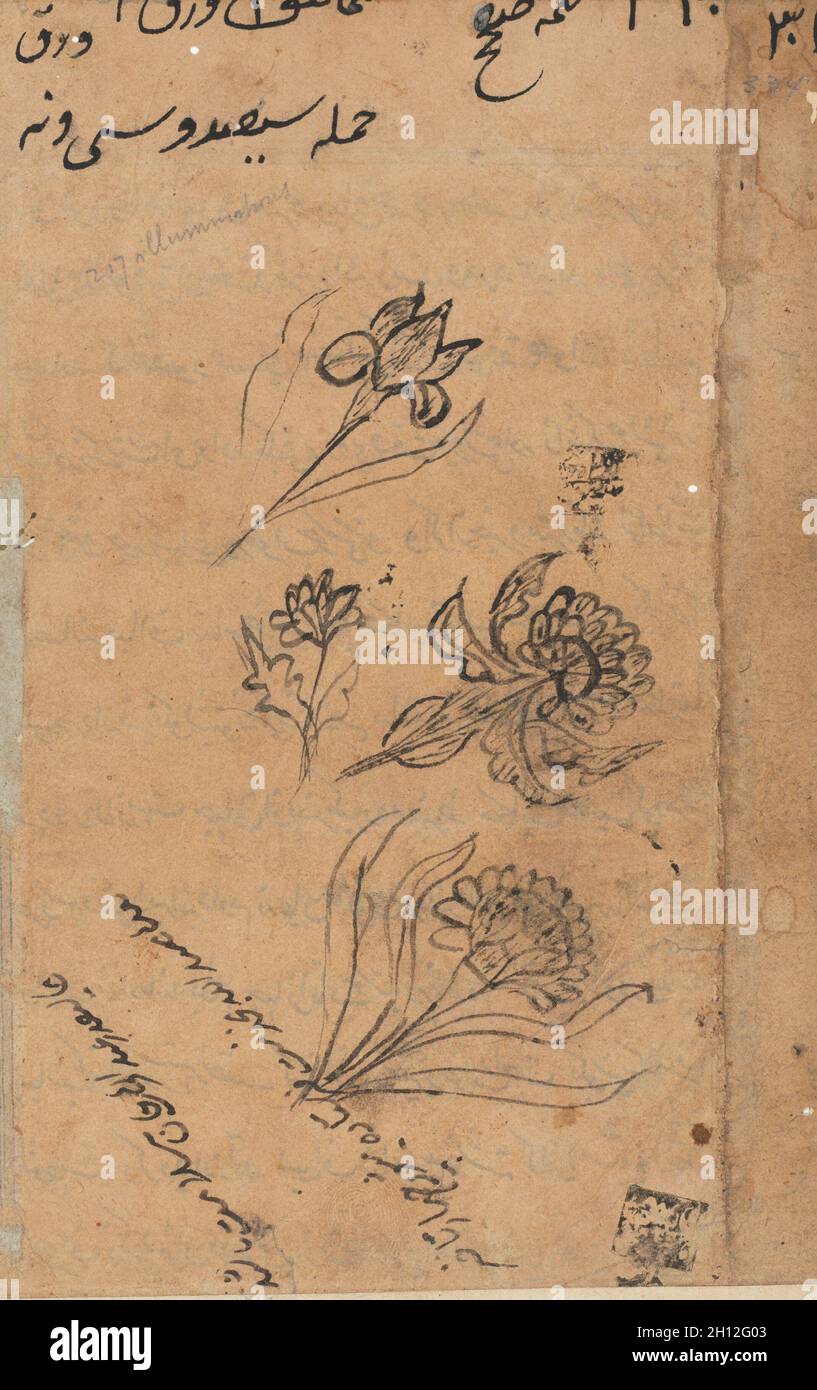 Seite aus Erzählungen von einem Papagei (Tuti-nama): Textseite, c. 1560. Mughal Indien, Gericht von Akbar (regierte 1556–1605). Tinte auf Papier; insgesamt 20.3 x 14 cm (8 x 5 1/2 Zoll). Stockfoto