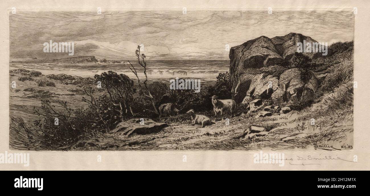 Bei Marblehead Neck, 1883. James David Smillie (Amerikaner, 1833-1909). Ätzen; Stockfoto