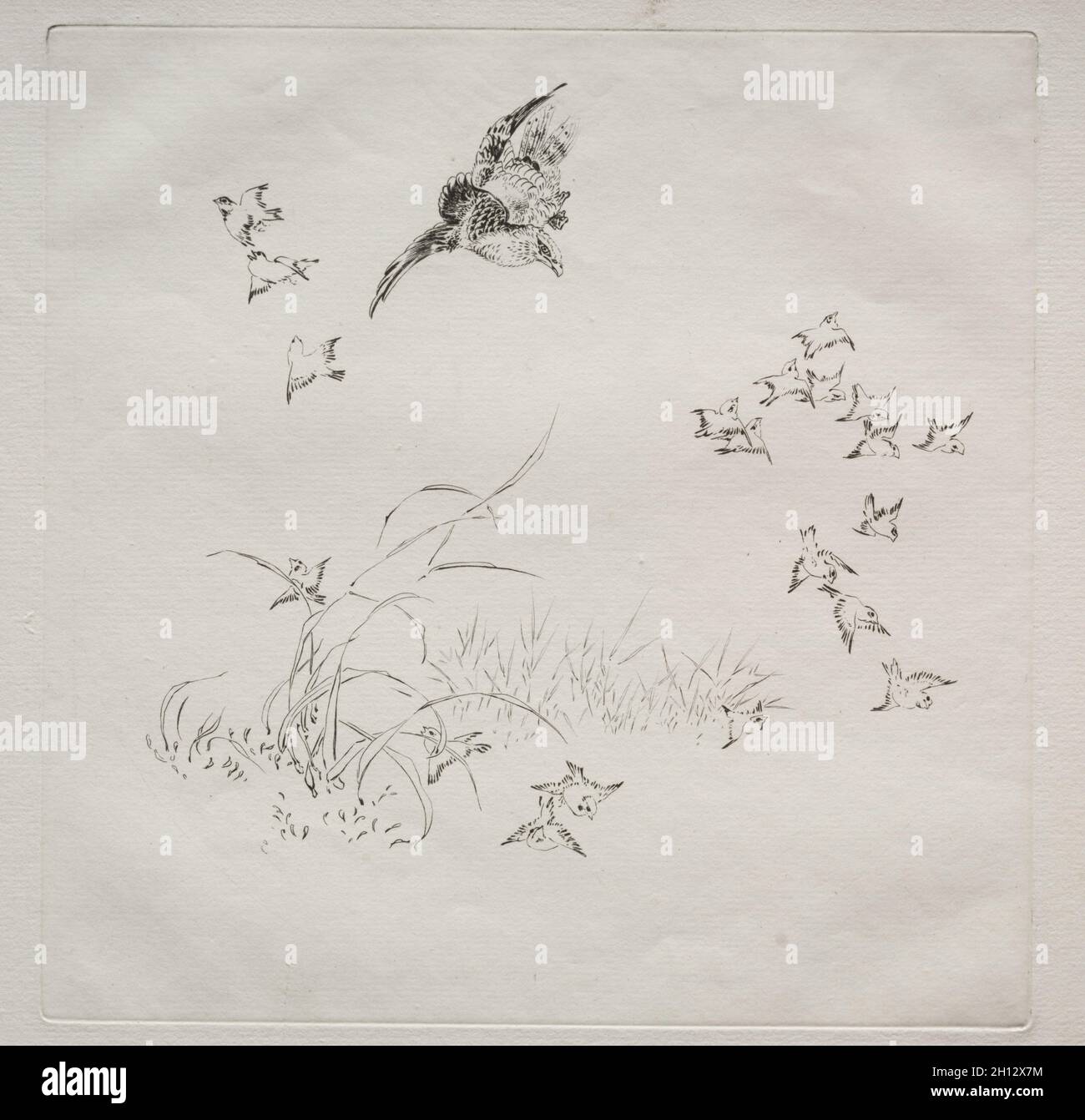 Pariser Service (Haviland Service): The Terror (Nr. 4), 1875. Félix Bracquemond (Französisch, 1833-1914). Ätzen; Stockfoto