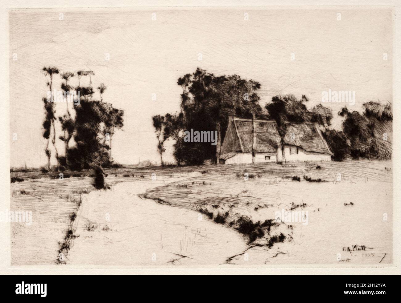 Bretonische Bäume, 1885-1887. Charles Adams Platt (Amerikaner, 1861-1933). Trockenpunkt; Stockfoto