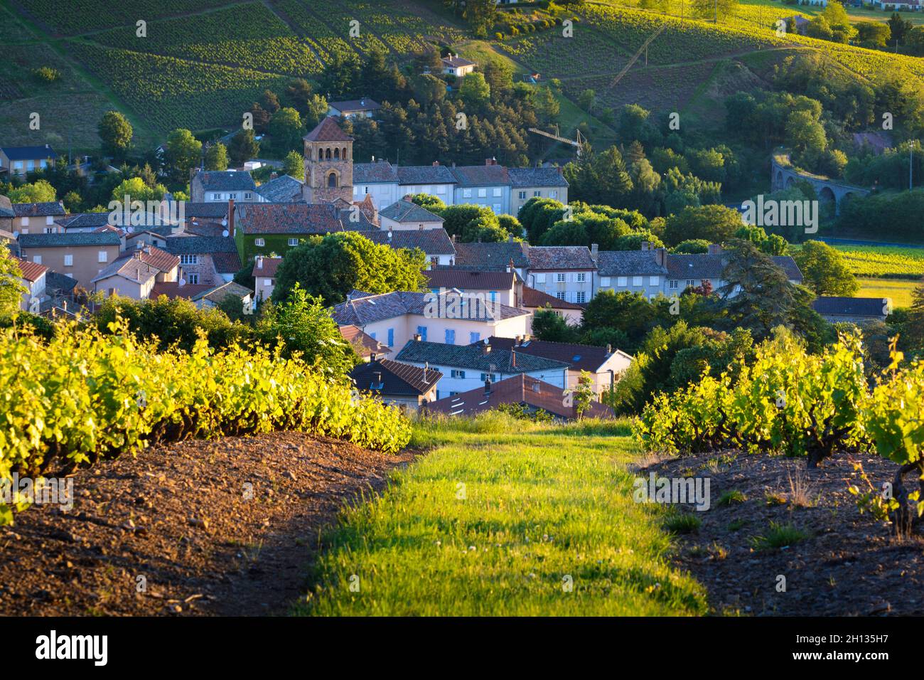 Dorf des Beaujolais und Weinberge in Frankreich Stockfoto