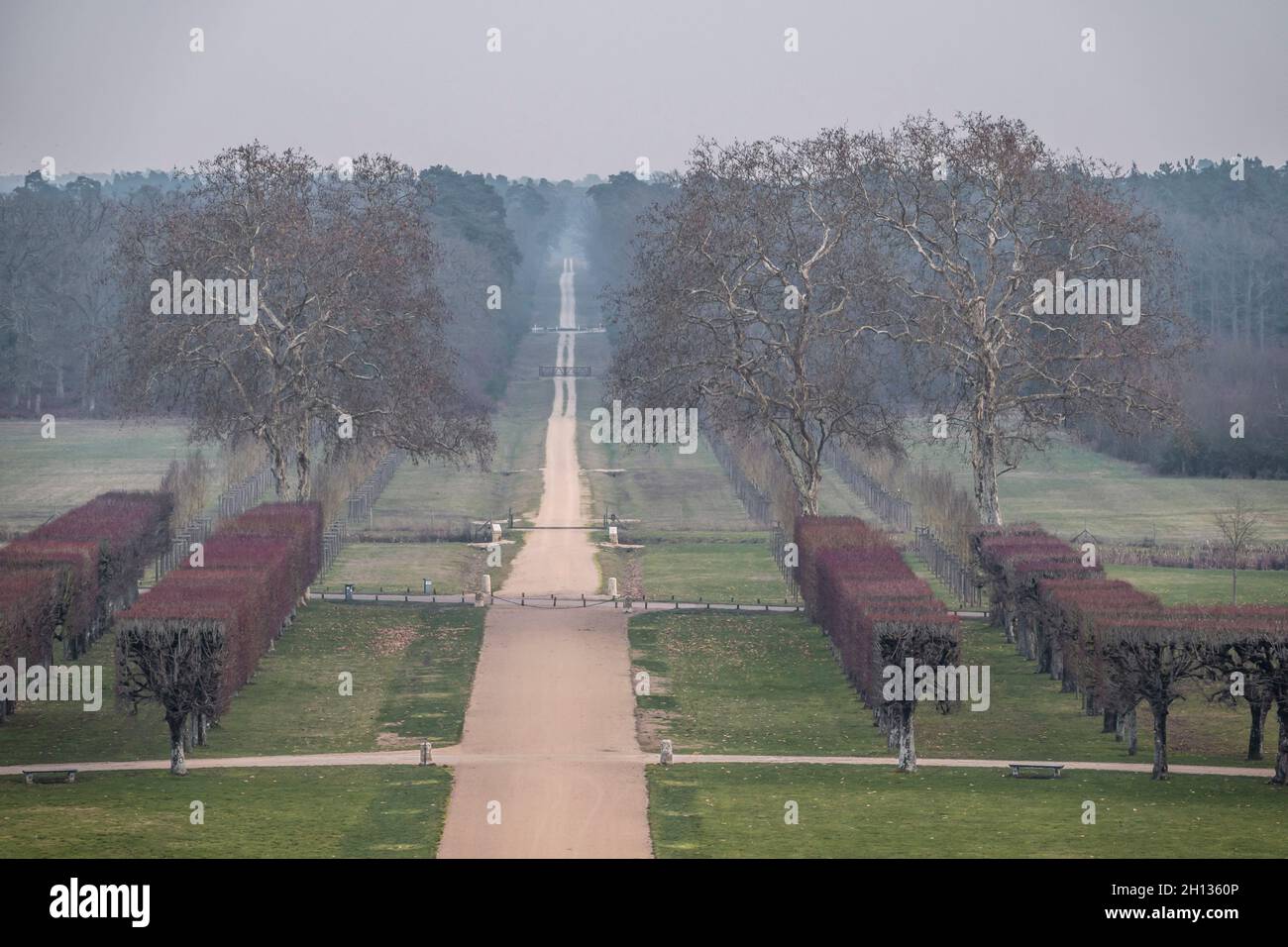 FRANKREICH - LOIRE-TAL - LOIR ET CHER (41) - SCHLOSS VON CHAMBORD : VON DER SÜDTERRASSE, MIT BLICK AUF DEN SÜDLICHEN TEIL DER NATIONALEN DOMÄNE VON CHAMB Stockfoto