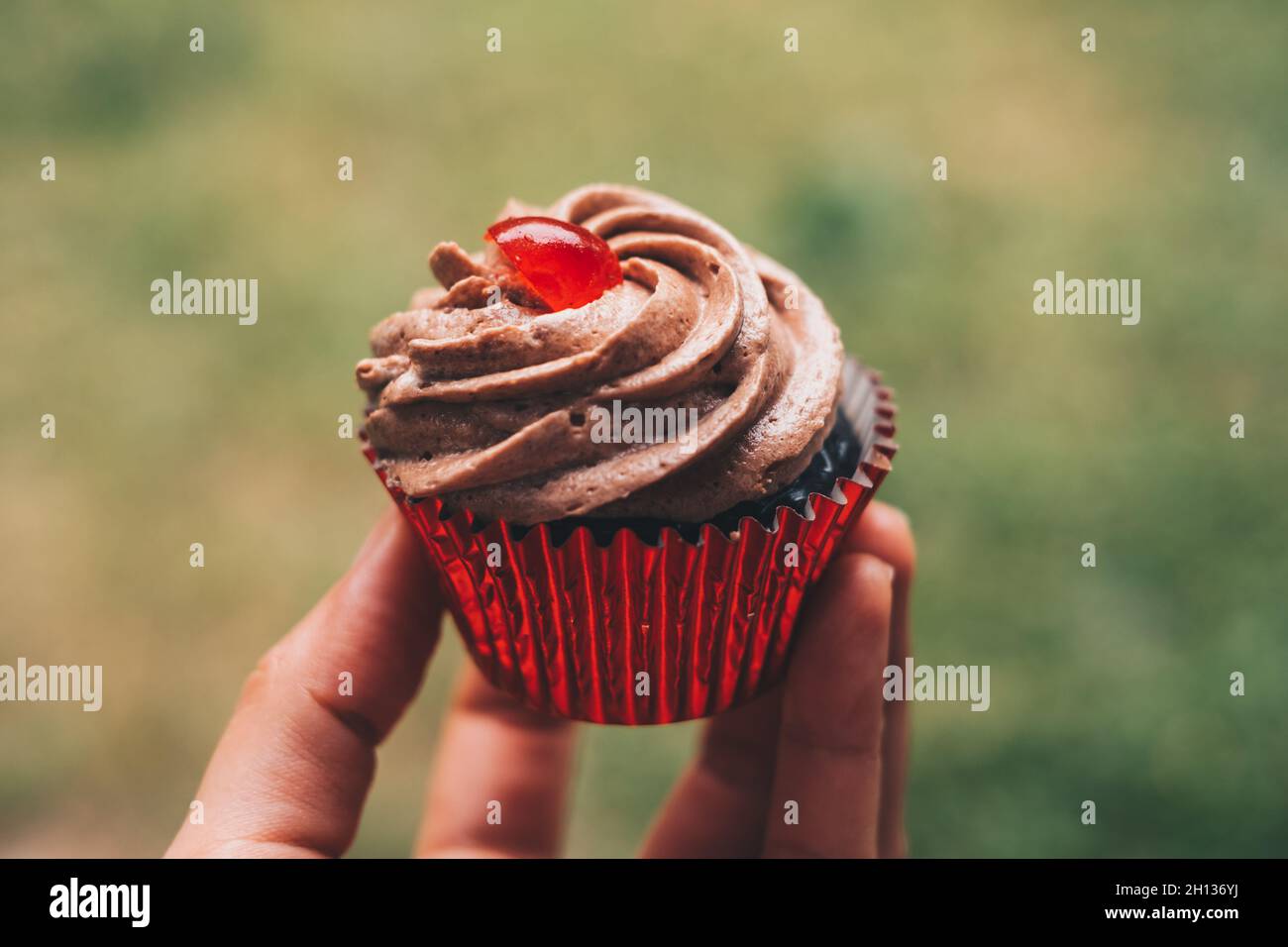 Hand hält einen leckeren Schokoladenkuchen mit süßem cremigem Spiralfrosting und Kirschscheiben-Belag. Selektiver Fokus. Persönliche Perspektive Stockfoto