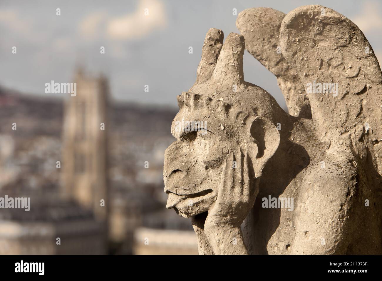 FRANKREICH. PARIS (75) KATHEDRALE NOTRE-DAME. AUF DER HÖHE DER GROSSEN GALERIE VON CHIMÄREN UND WASSERSPEIERN, DIE DIE BASIS DER TÜRME VERBINDET. ERBAUT 15 Stockfoto