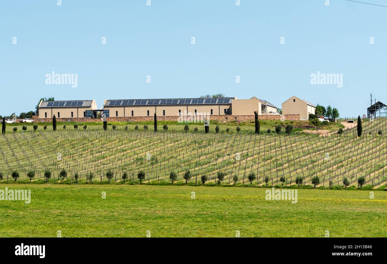 Weinkellereien oder Weingüter mit Weinbergen im Vordergrund im Overberg, Western Cape, Südafrika im Frühjahr Stockfoto Weinkellereien oder Weingüter mit Weinbergen im Vordergrund im Overberg, Western Cape, Südafrika im Frühjahr Stockfoto