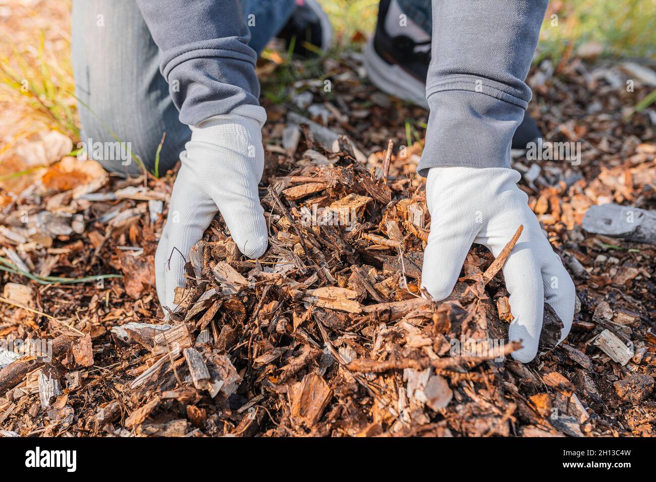 Hände Mann Gartenhandschuhe zeigen Qualität von Sägemehl Holz Mulch oder verrotteten organischen Abfall auf Komposthaufen Stockfoto