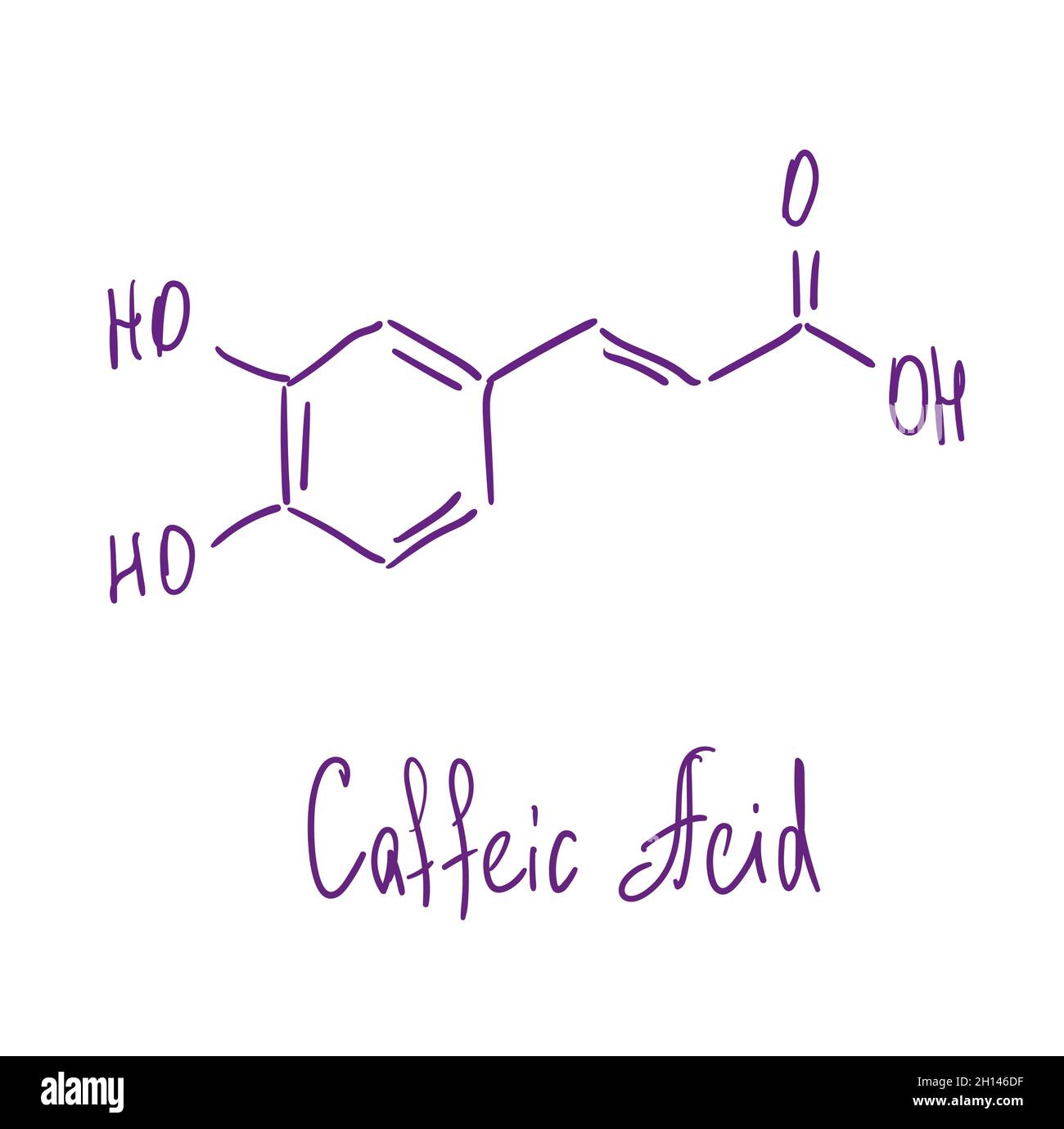 Chemische Struktur der Kaffeinsäure. Vektorgrafik von Hand gezeichnet Stock Vektor