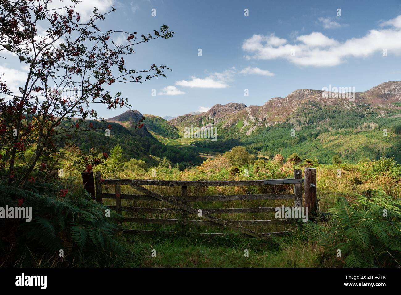 Blick auf die Hügel oberhalb von Llyn Crafnant, einem See in Wales Stockfoto