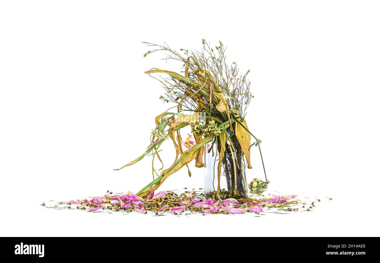 Verwelkt Blumen Bouquet in einer klaren Glasvase, Vintage gefiltert Stockfoto