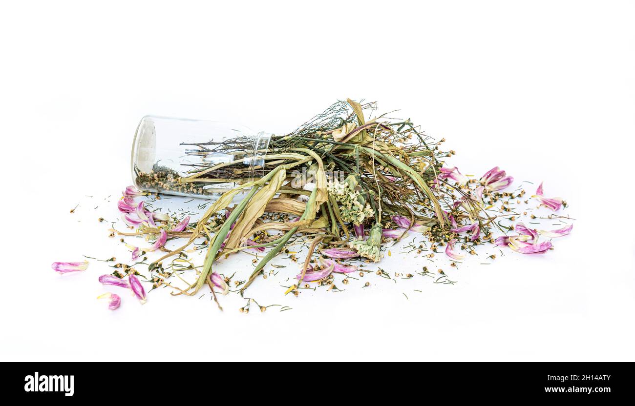 Verwelkt Blumen Bouquet in einer klaren Glasvase, Vintage gefiltert Stockfoto