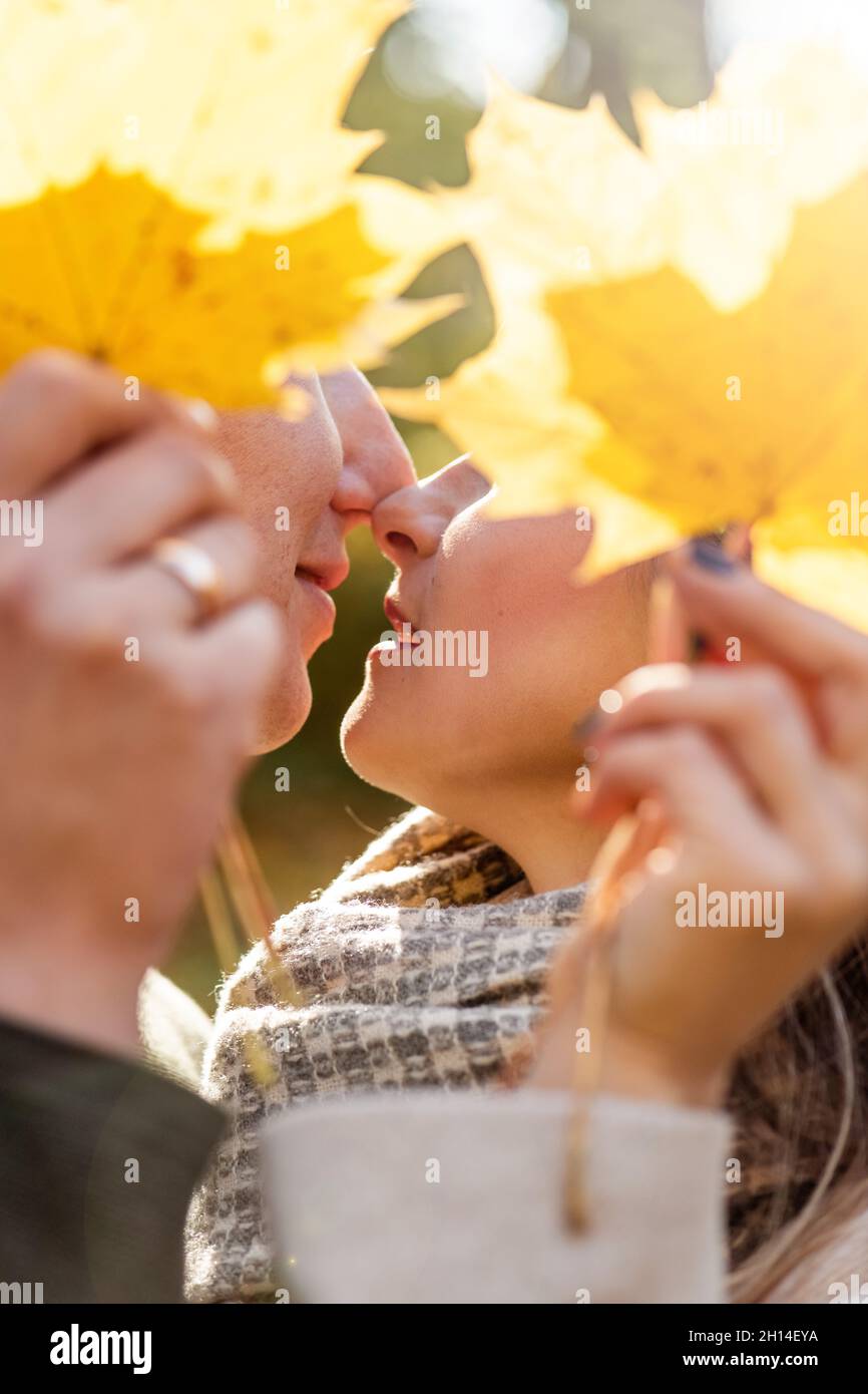 Liebe, Freizeit Konzept. Junges Paar küssen und verstecken Gesichter mit gelben Ahornblättern während der goldenen Stunde Sonnenuntergang im Herbst. Wangen sind in der Kamera Stockfoto