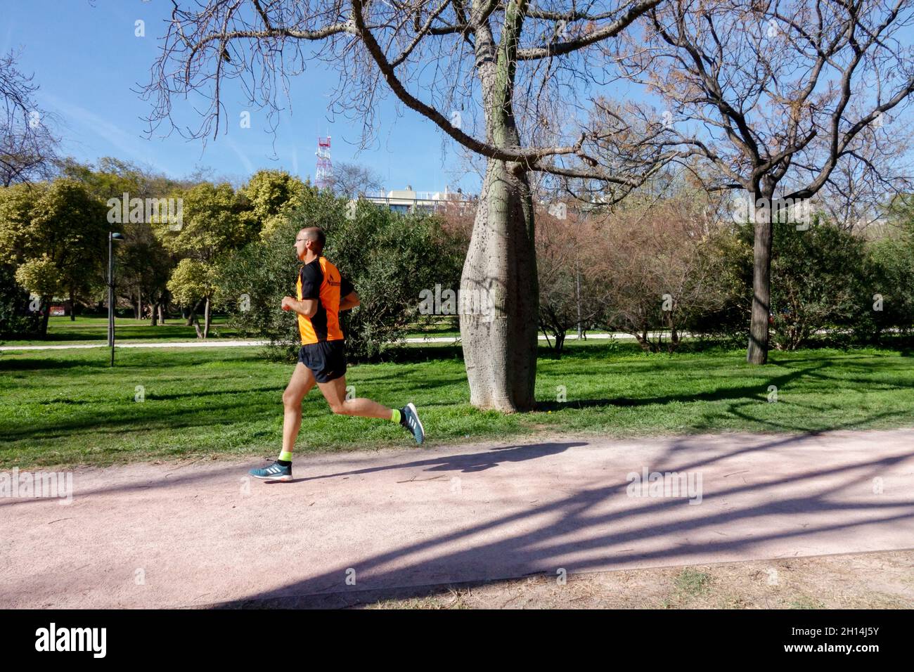 Mann läuft im Valencia Turia Park Spanien Valencia Turia Gärten Mann Jogging Jardín del Turia Stockfoto