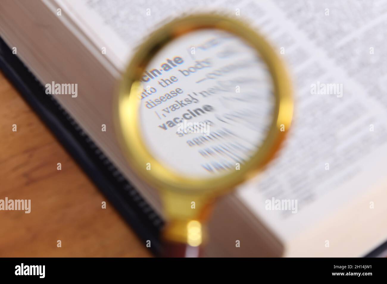 Looking up word in dictionary Fotos und Bildmaterial in hoher