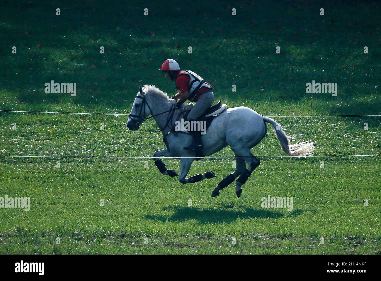 Fair Hill, MD, USA. Oktober 2021. 16. Oktober 2021: Joe Meyer (NZL) an Bord von Harbin tritt am 16. Oktober 2021 während des Cross Country Tests auf dem Niveau von 3* während des Maryland Five-Star in der Fair Hill Special Event Zone in Fair Hill, Maryland, an. Jon Durr/Eclipse Sportswire/CSM/Alamy Live News Stockfoto