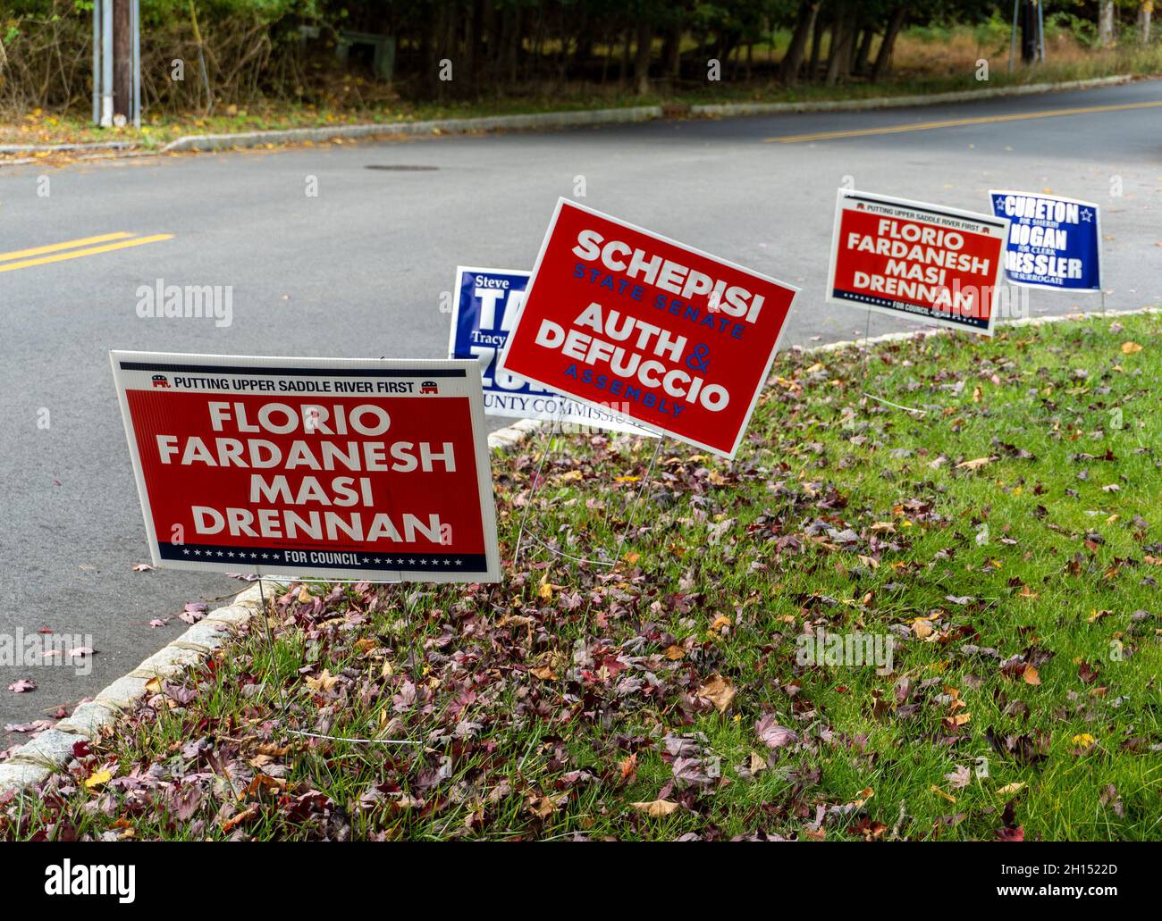 Politischer Kandidat Zeichen entlang einer Straße Stockfoto