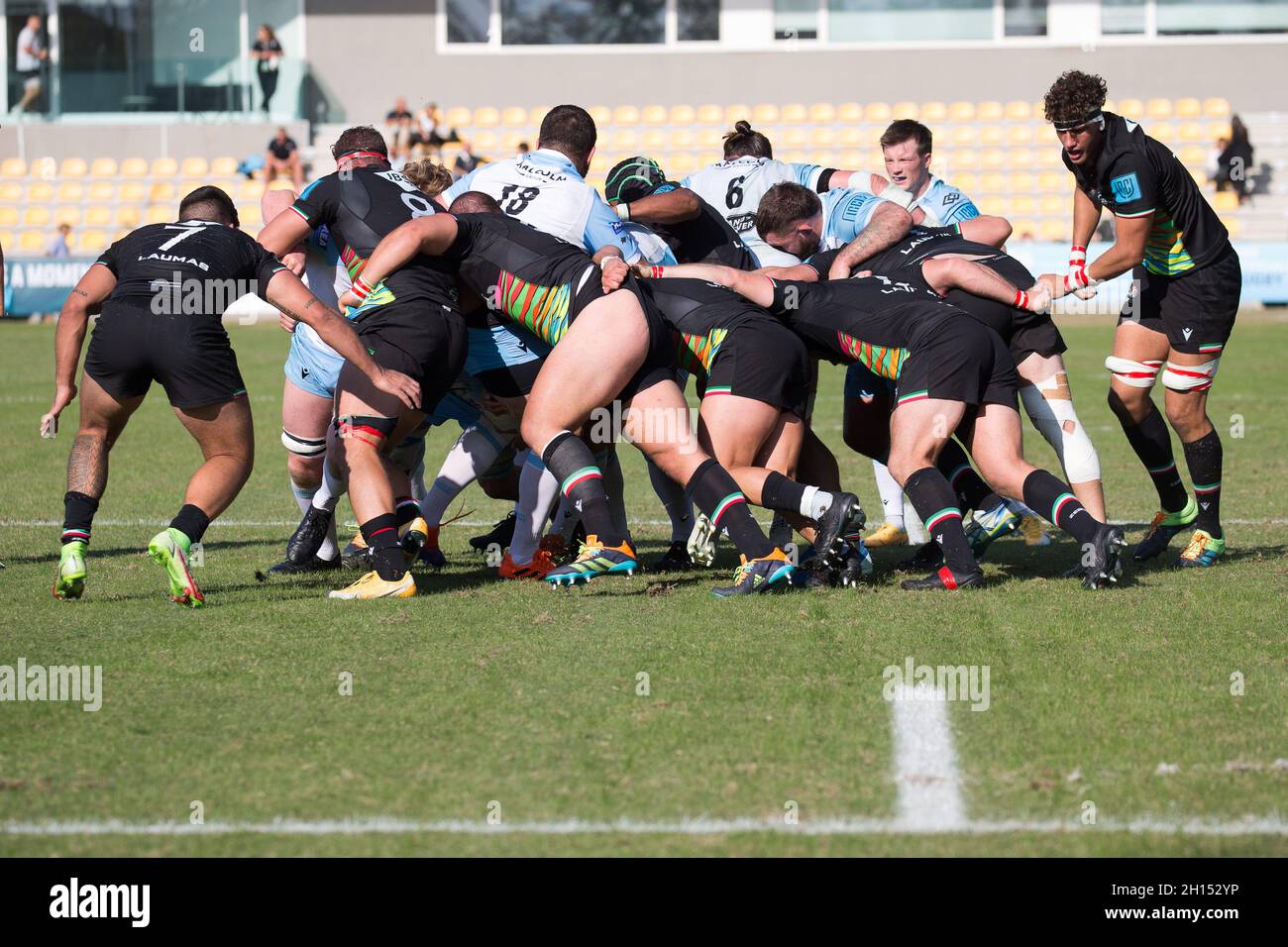 Stadion Sergio Lanfranchi, Parma, Italien, 16. Oktober 2021, Maultier während des Spiels der Zebre Rugby Club gegen Glasgow Warriors - United Rugby Championship Stockfoto