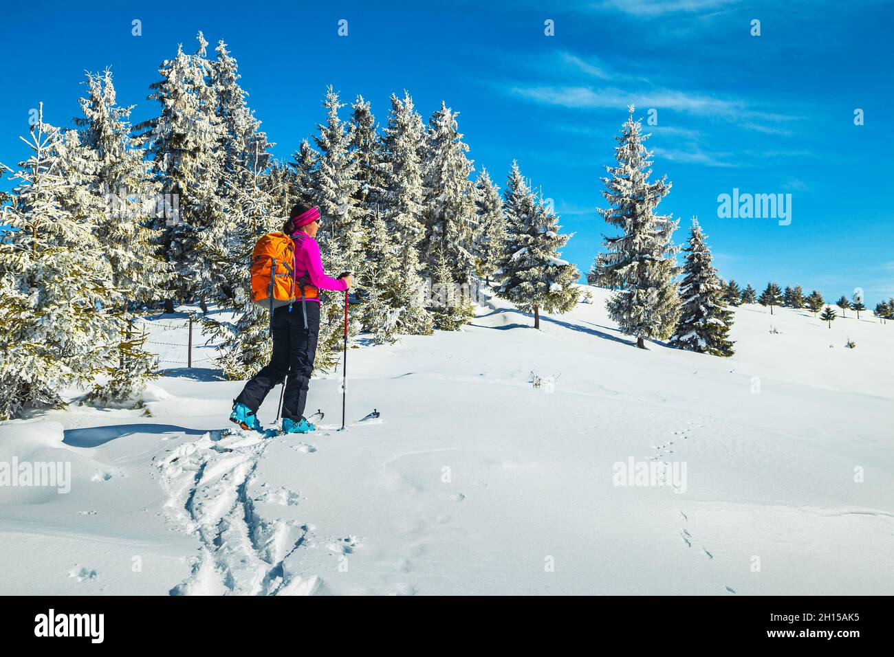 Skilanglauf auf der verschneiten Piste. Sportliche Frau mit Rucksack, Skitouren im tiefen Pulverschnee und die Aussicht genießen, Karpaten, Siebenbürgen Stockfoto