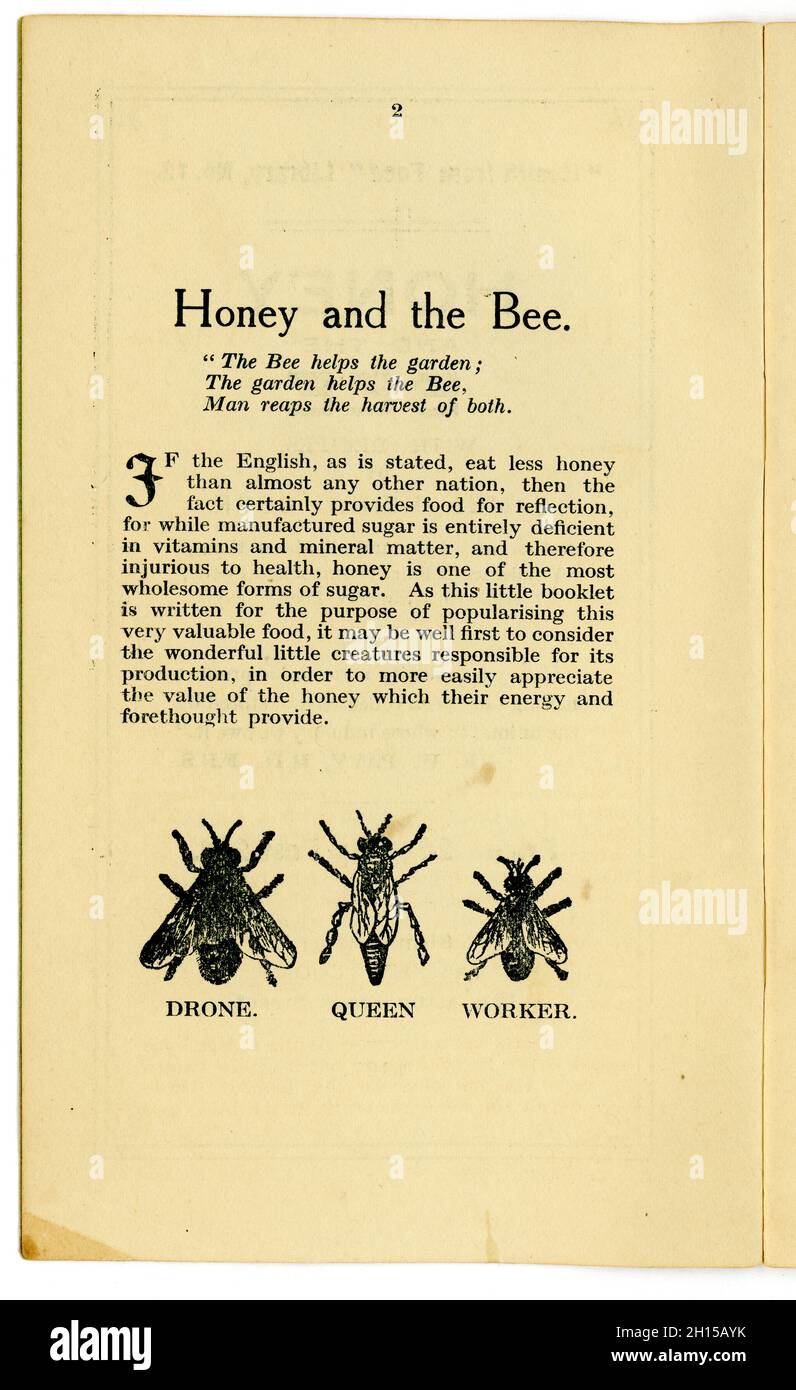 Auf der Innenseite mit dem Titel Honey and the Bee und einem Fußnotenschild im Bienendesign aus einem Original-Heftchen für gesunde Ernährung aus den 20er Jahren der Health from Food Library (Nr. 12), Vom berühmten Lebensmitteljournalist der damaligen Zeit und Besitzer des ersten Reformhauses - James Henry Cook - trägt dieser Titel der Serie „Honey and the Bee“, in dem Honigrezepte aus dem Jahr 1927 in Birmingham, England, veröffentlicht wurden Stockfoto