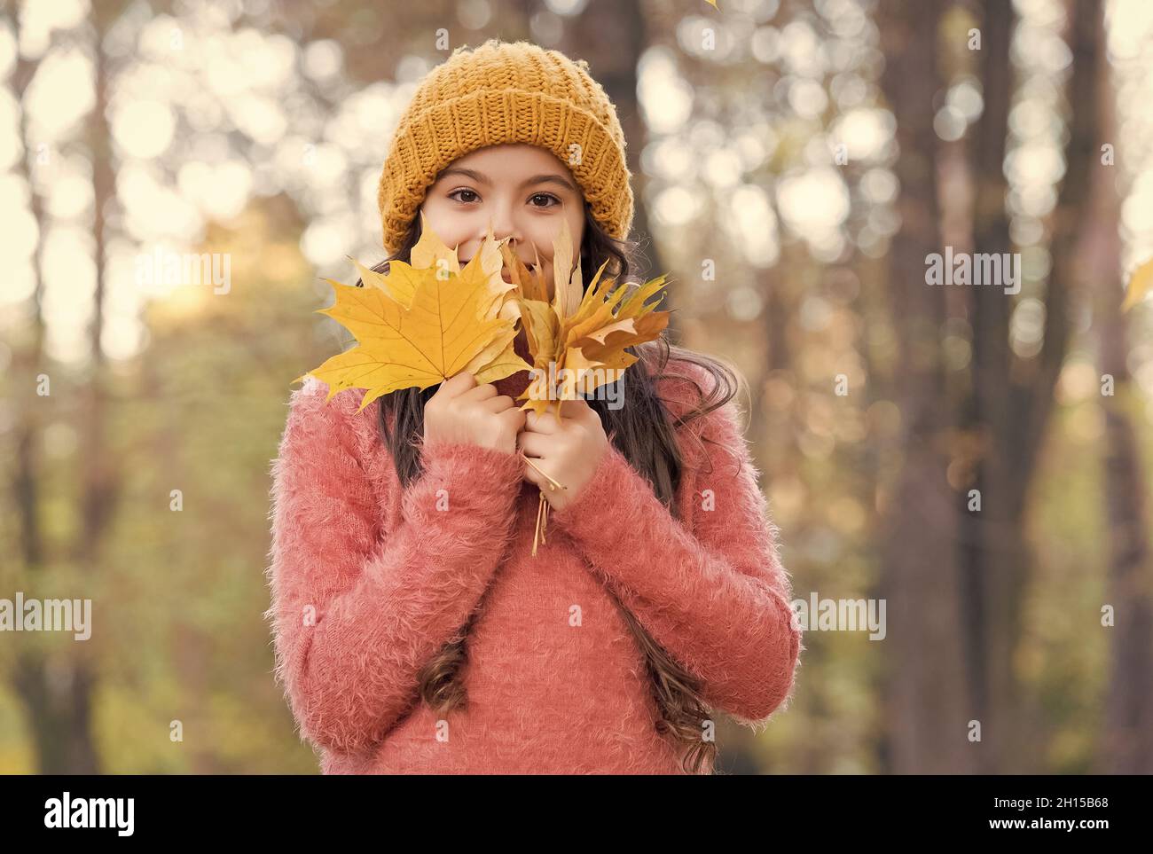 Lächelndes Teenager-Mädchen in gestricktem Hut und Pullover halten gelbe Ahornblätter im Wald des Parks in der Herbstsaison mit warmem Wetter, Kindheit Stockfoto