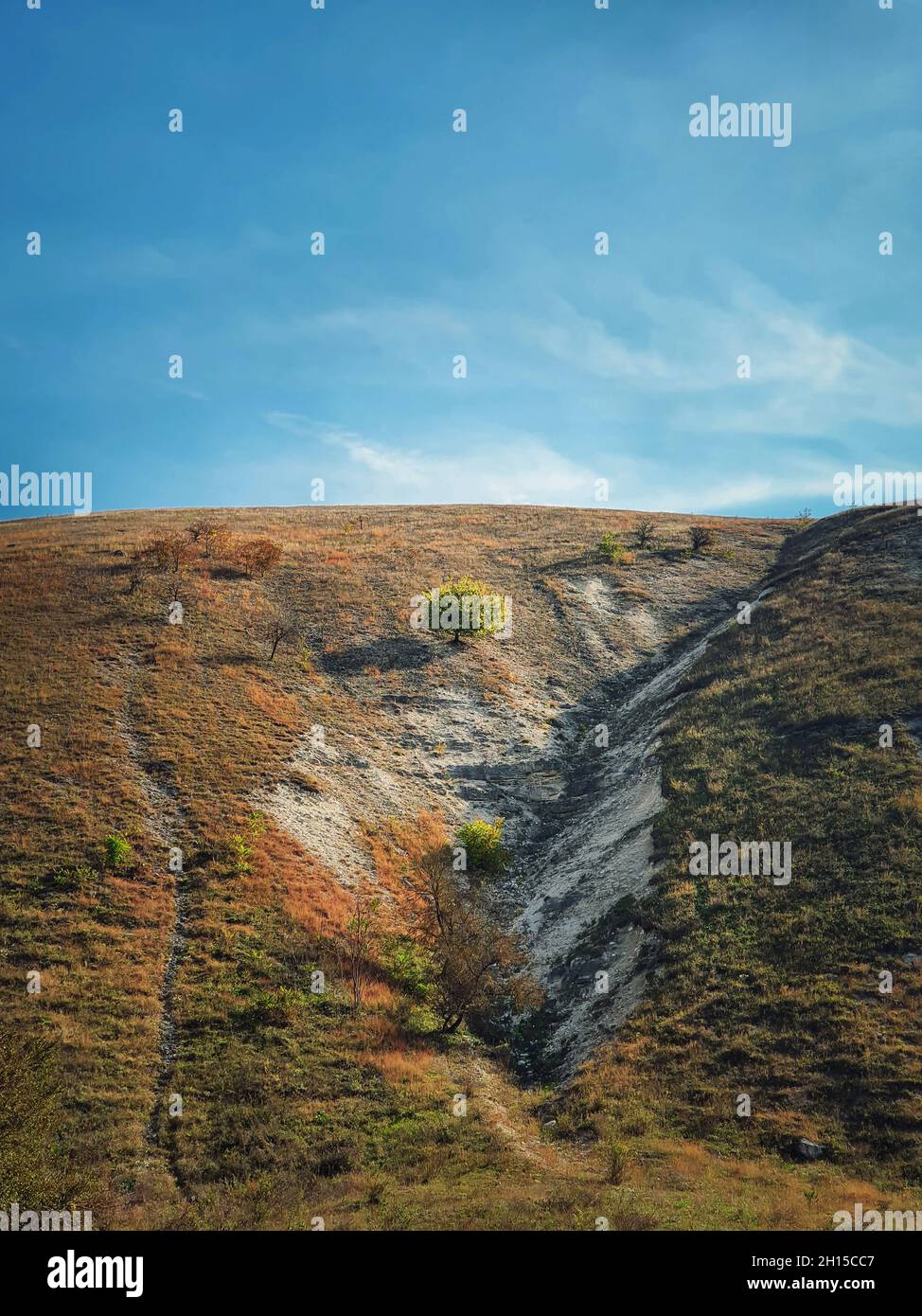 Idyllischer Blick auf die Landschaft auf einen einzelnen Baum auf den karstigen Kalksteinhügeln bei Orheiul Vechi, dem alten Orhei-Komplex, in der Nähe des Dorfes Trebujeni, Moldawien. Herbst se Stockfoto