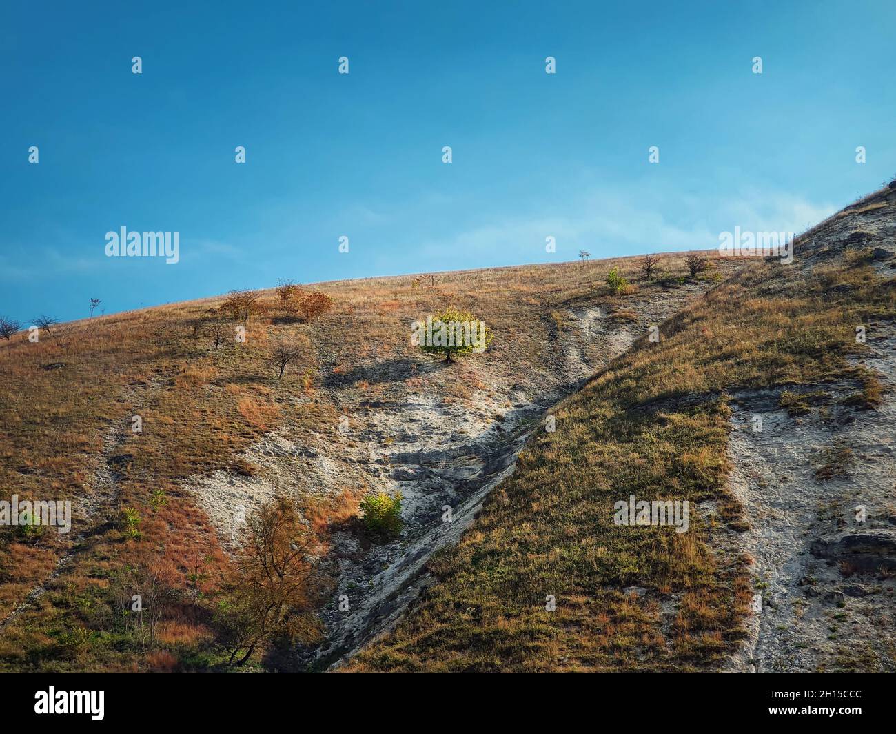 Idyllischer Blick auf die Landschaft auf einen einzelnen Baum auf den karstigen Kalksteinhügeln bei Orheiul Vechi, dem alten Orhei-Komplex, in der Nähe des Dorfes Trebujeni, Moldawien. Herbst se Stockfoto