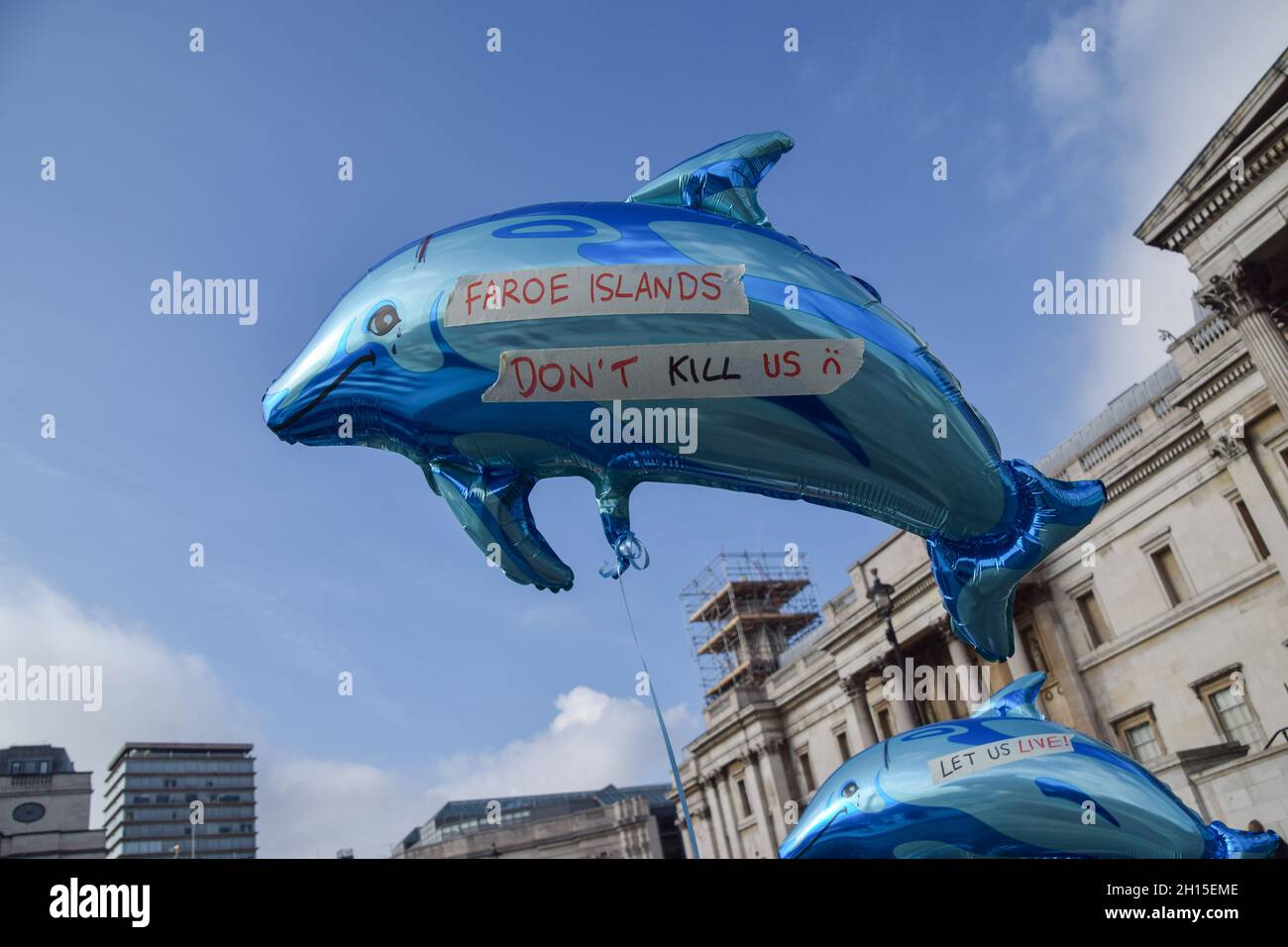 London, Großbritannien. Oktober 2021. Während der Demonstration auf dem Trafalgar Square ist ein delfinförmiger Ballon mit dem Motto "Färöer-Inseln töten uns nicht" zu sehen.Mitglieder der Meeresschutzorganisation Sea Shepherd und andere Aktivisten marschierten durch Westminster und forderten ein Ende der Schlachtung von Delfinen auf den Färöer-Inseln und Taiji, Japan. Kredit: SOPA Images Limited/Alamy Live Nachrichten Stockfoto