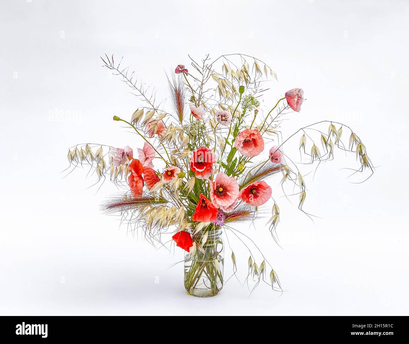 Gemischter Blumenstrauß und Gräser in einer Glasvase. Mohnblume. Stockfoto