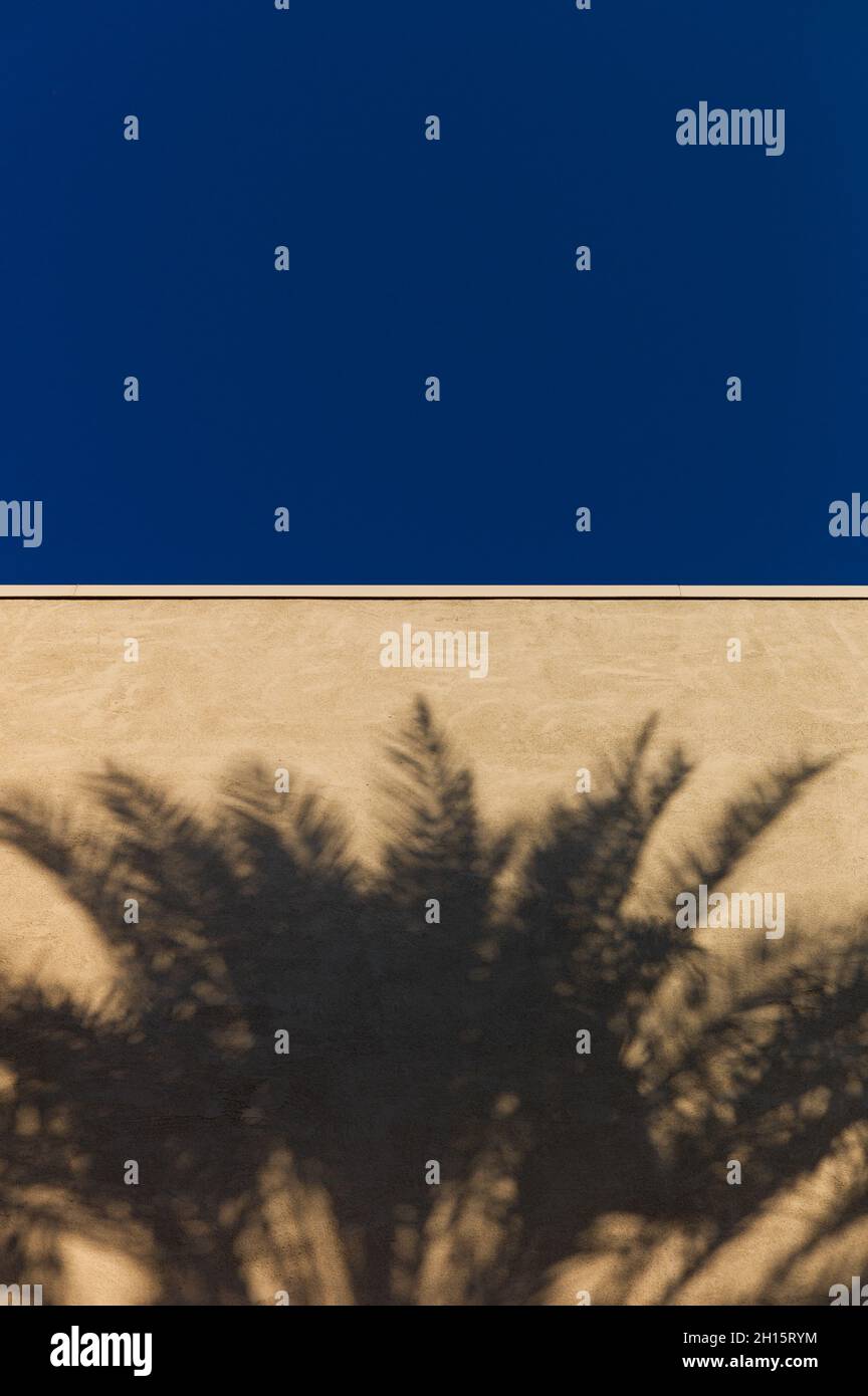 Der Schatten einer Palme zeigt sich deutlich an der Seite eines unscheinbaren Gebäudes unter einem blauen, wolkenlosen Himmel. Stockfoto