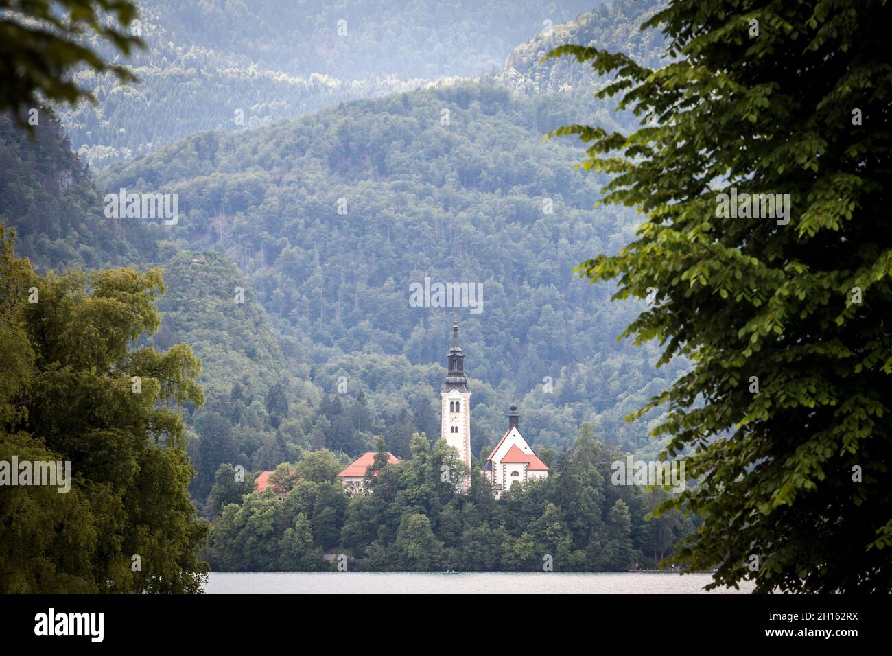 Panorama des Blejsko ostrvo, oder Bled Insel, auf Bled See oder Blejsko Jezero, mit der Annahme der Maria Kirche, oder cerkev marijinega vnebovzetja. Stockfoto