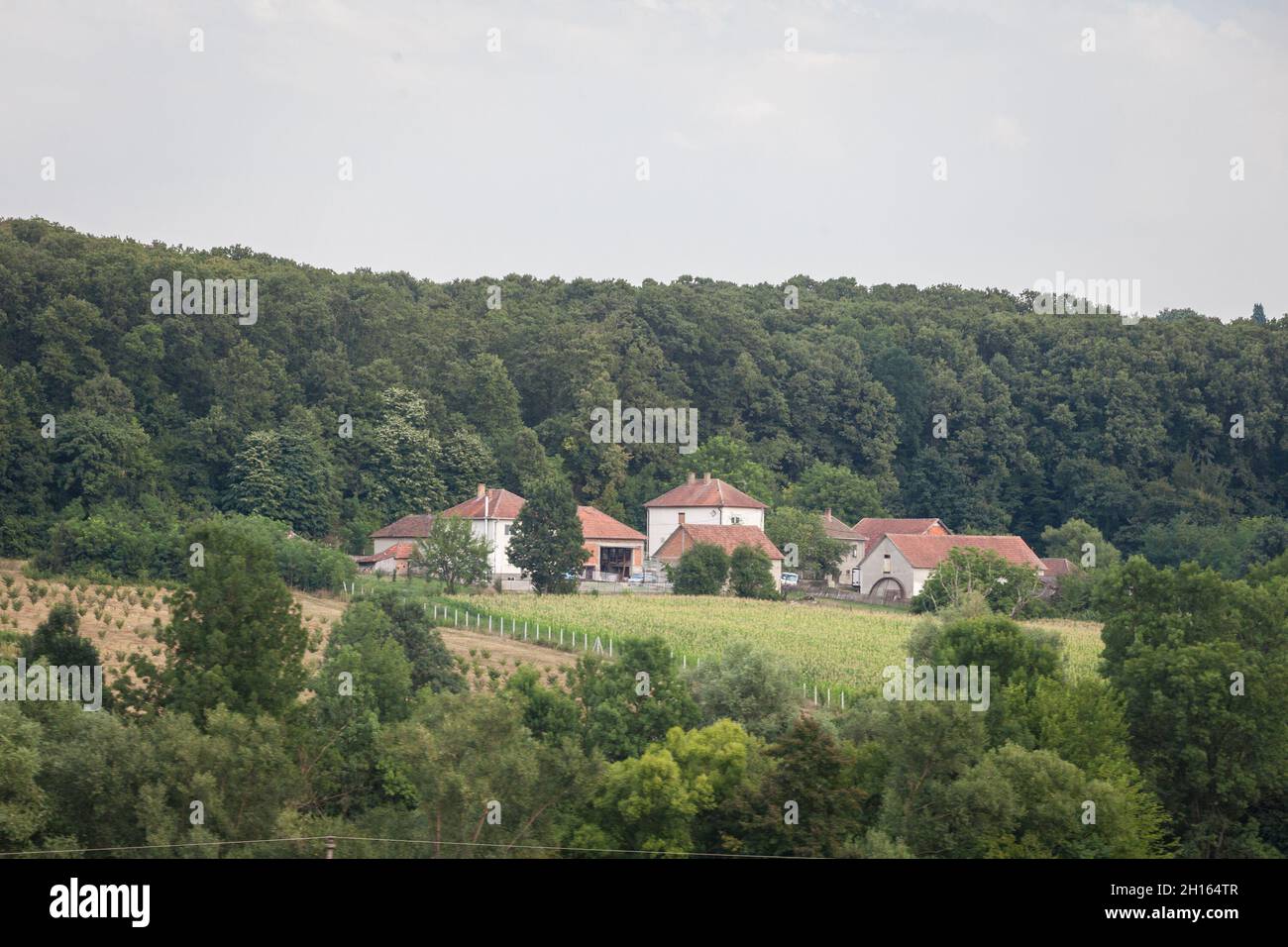 Selektive Verschwommenheit auf einem typischen seosko domacinstvo, einem serbischen Bauernhof aus verschiedenen Häusern, Gebäuden und Scheunen, umgeben von Feldern. Serbien ist ein Stockfoto