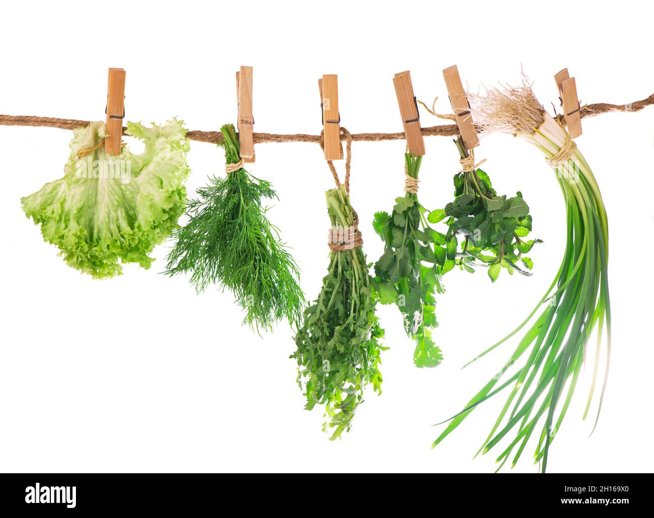 Set von Gewürzkräutern isoliert auf weißem Hintergrund Trauben von Thymian, Basilikum, Oregano, Petersilie Stockfoto