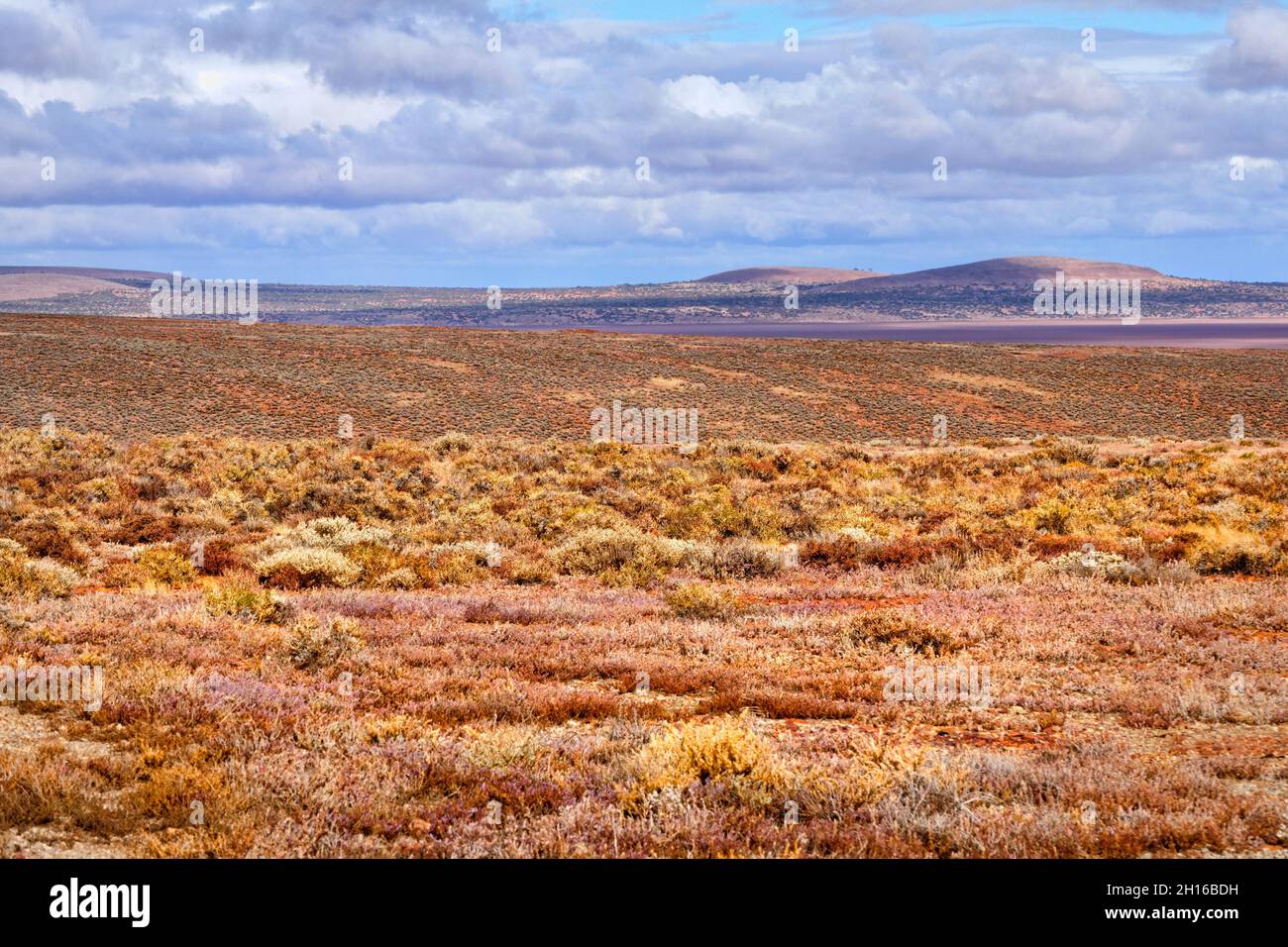 Australische Outback-Landschaft in der Nähe des Lake Gairdner, Südaustralien Stockfoto