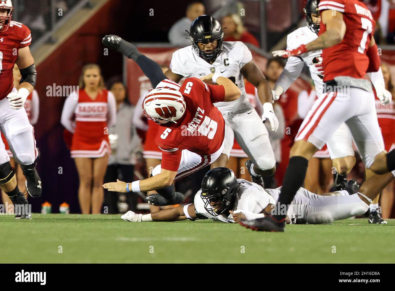 Madison, WI, USA. Oktober 2021. Der Linienführer der Army Black Knights Nathaniel Smith (44) beendet den Quarterback der Wisconsin Dachs Graham Mertz (5) während des NCAA Football-Spiels zwischen den Army Black Knights und den Wisconsin Dachs im Camp Randall Stadium in Madison, WI. Darren Lee/CSM/Alamy Live News Stockfoto