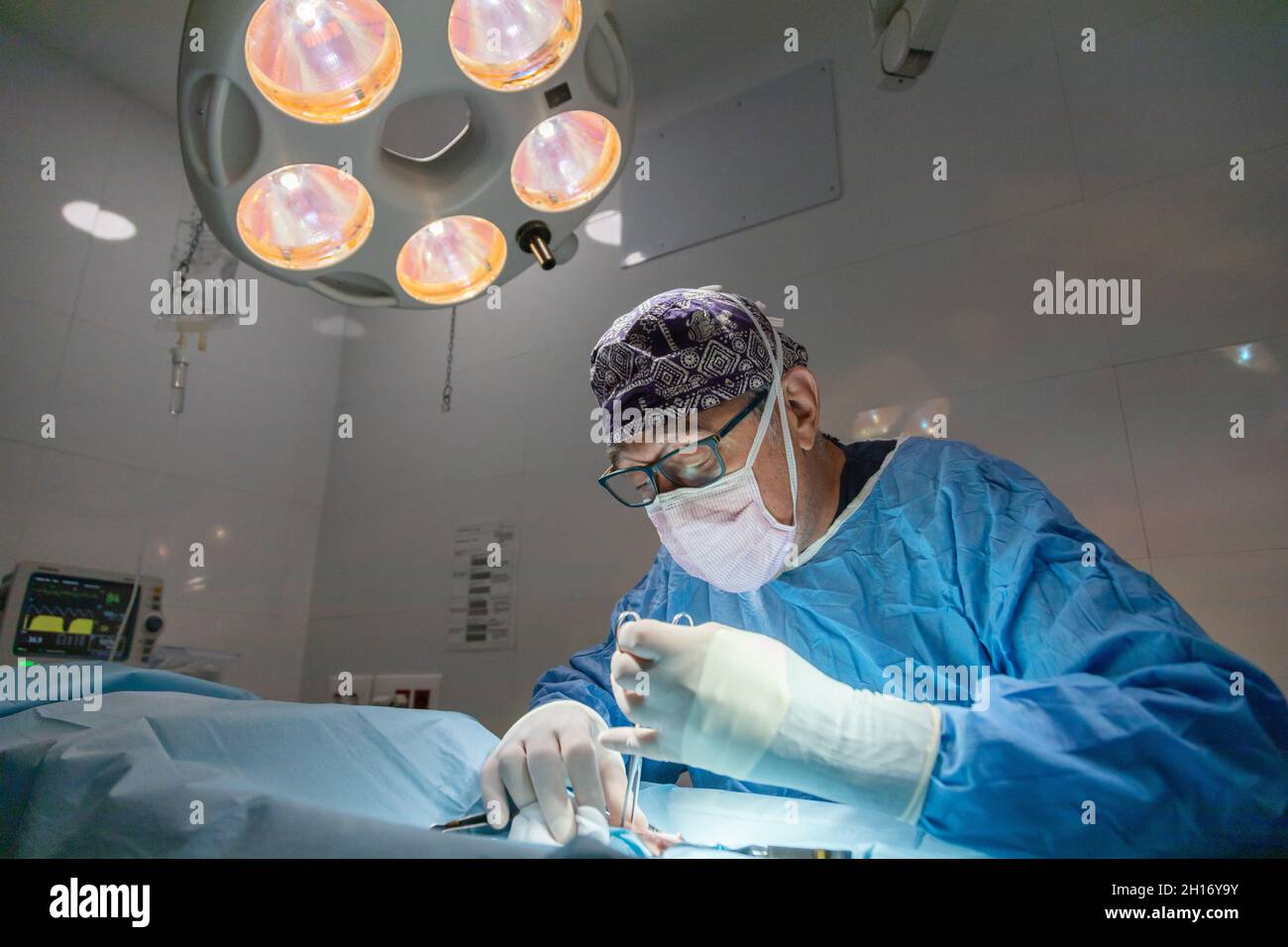 Von unten junge Bäuerin in Schutzmaske Kommissionierung Reife Oliven wachsen auf Baum im Feld Stockfoto