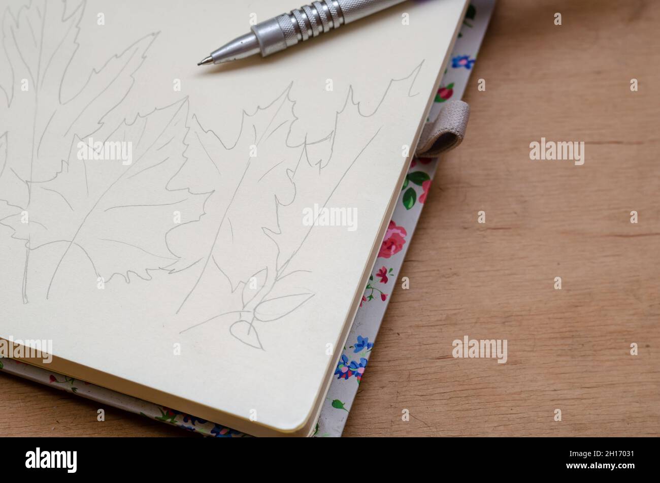 Bleistift Umriss der Herbstblätter. Handgezeichnete Skizze in einem offenen Notizbuch. Teil einer Serie. Stockfoto