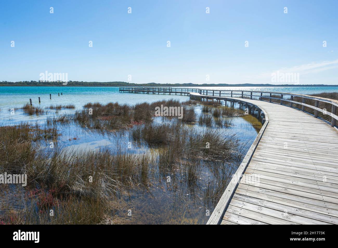 Blick auf die Promenade am Lake Clifton, Western Australia, WA, Australien Stockfoto