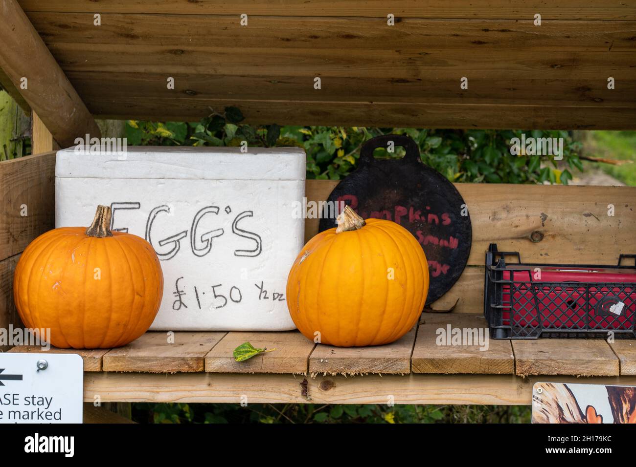 Verkauf von saisonalen Kürbissen und Eiern an Halloween auf einem unbemannten Bauernhofcounter mit Ehrlichkeitskiste Stockfoto