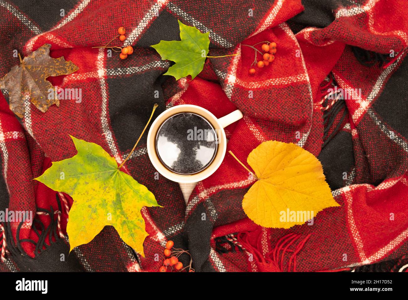 Herbstkomposition mit einer Tasse Kaffee mit hellen Blättern auf einem roten karierten Plaid. Von oben gefilmt. Ort für Ihren Text. Stockfoto