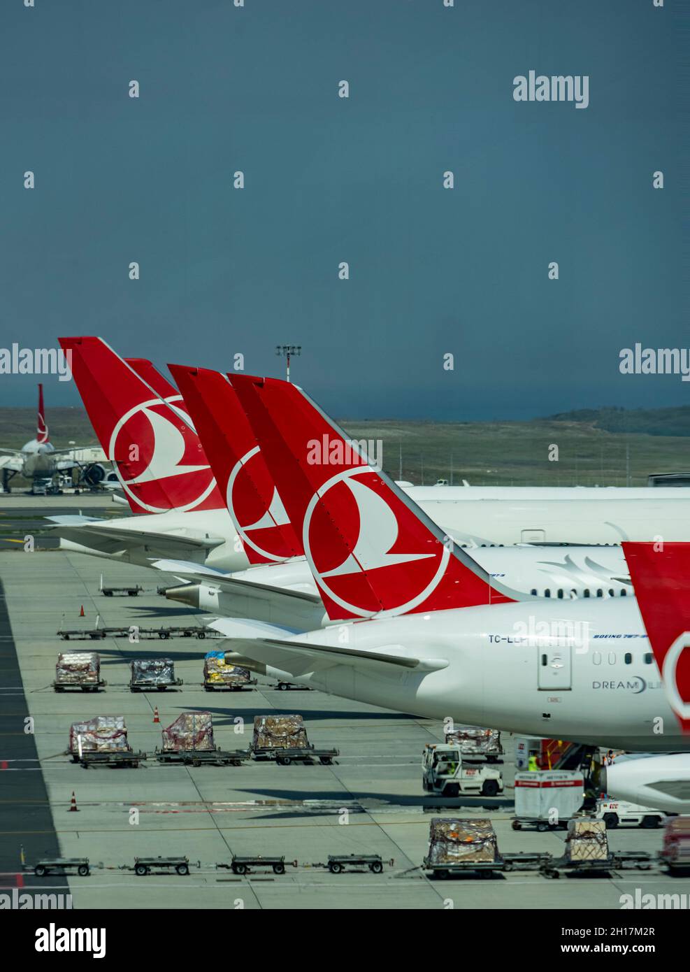 Schwänze von Flugzeugen türkischer Fluggesellschaften mit Logo am Terminal, dem neuen Flughafen Istanbul. Türkei Stockfoto
