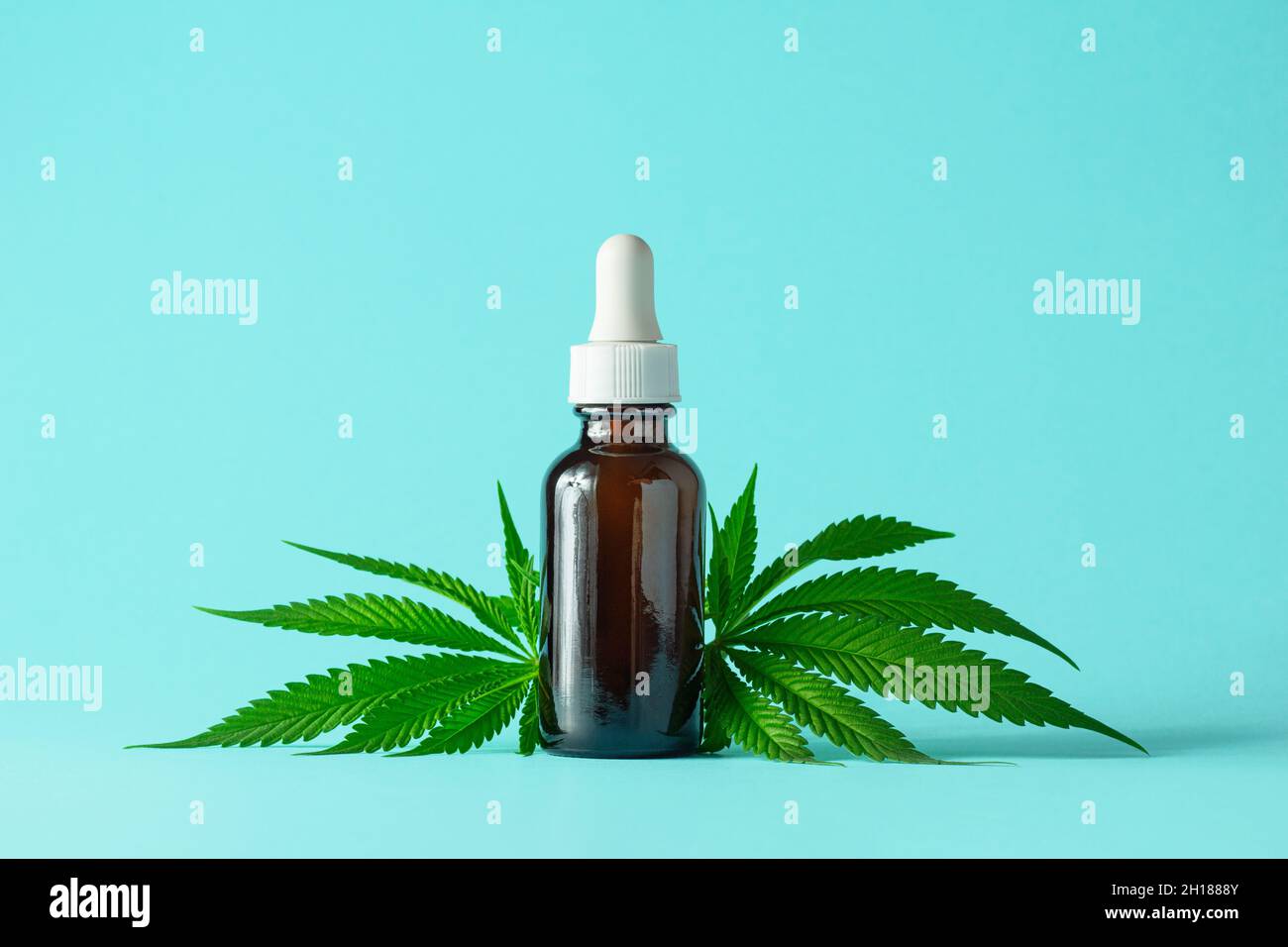 CBD-Öl oder Tinktur in brauner Glasflasche mit Cannabisblättern auf minimalistischem Aqua-Hintergrund mit Kopierraum Stockfoto