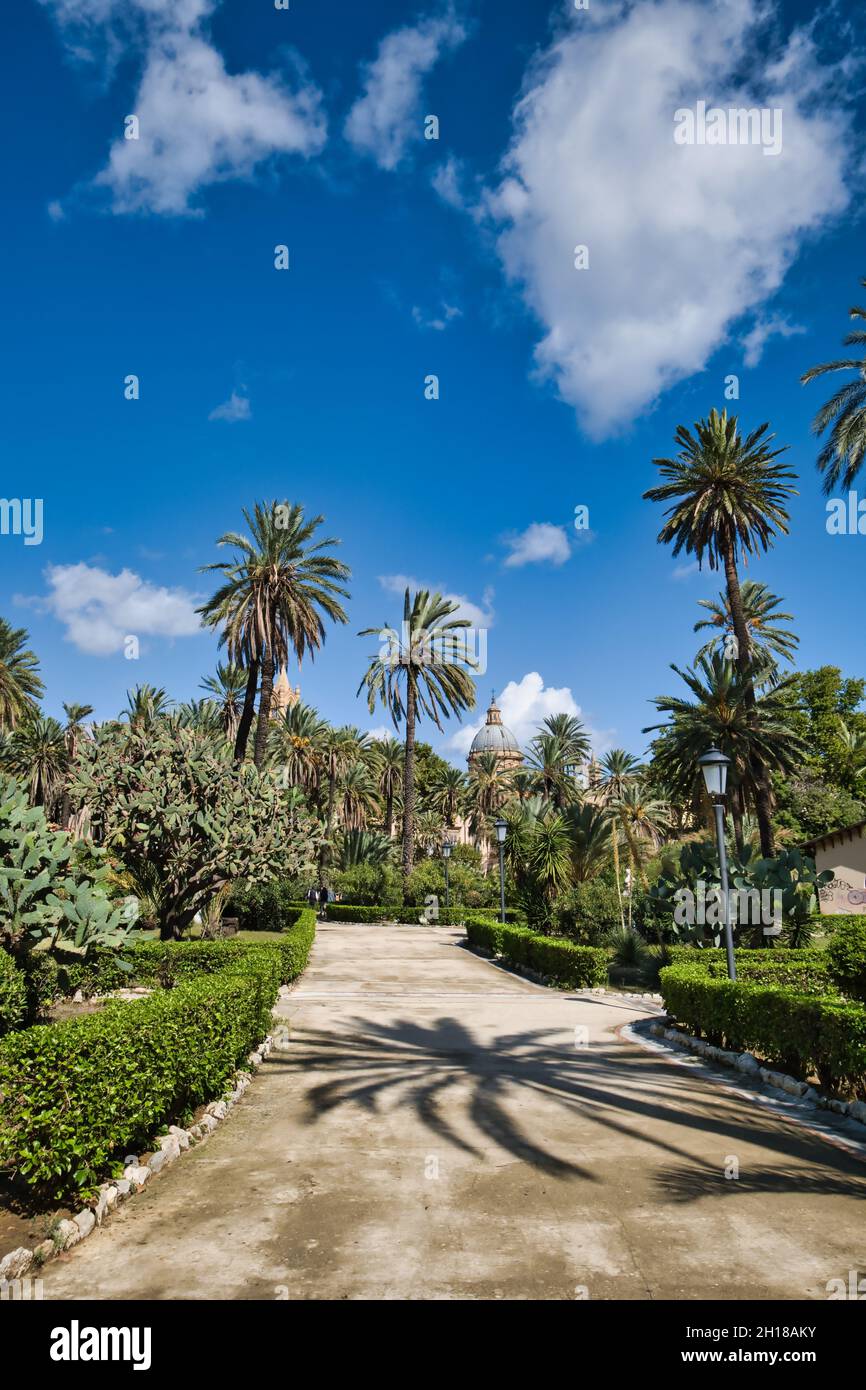 Blick auf die Domkuppel hinter den Palmen des Victory Square in Palermo Stockfoto