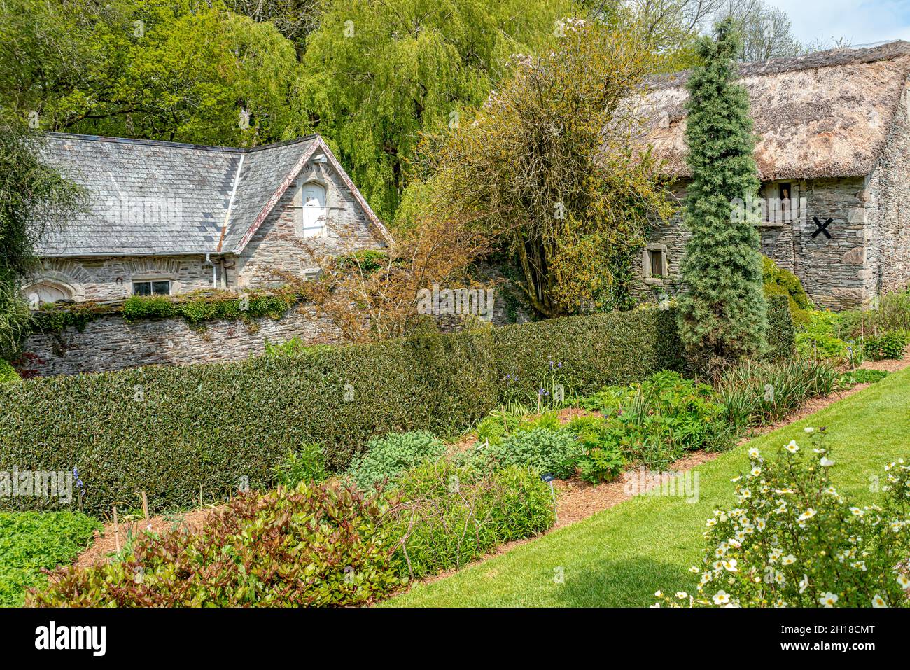 Untere Terrasse an der Fortescue ummauerten Garten, Gartenhaus, Yelverton, Devon, England Stockfoto