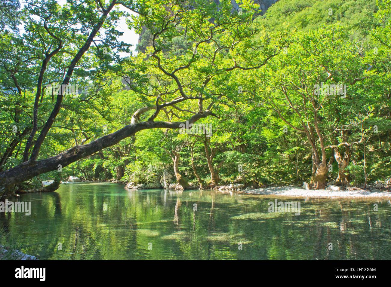 Naturlandschaft in Vikos - Aoos Nationalpark, Epirus, Griechenland, Europa Stockfoto