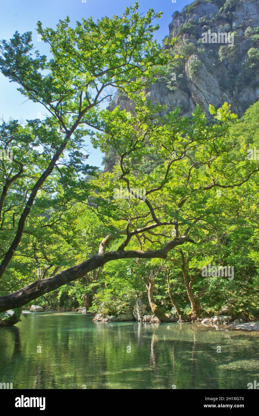 Naturlandschaft in Vikos - Aoos Nationalpark, Epirus, Griechenland, Europa Stockfoto