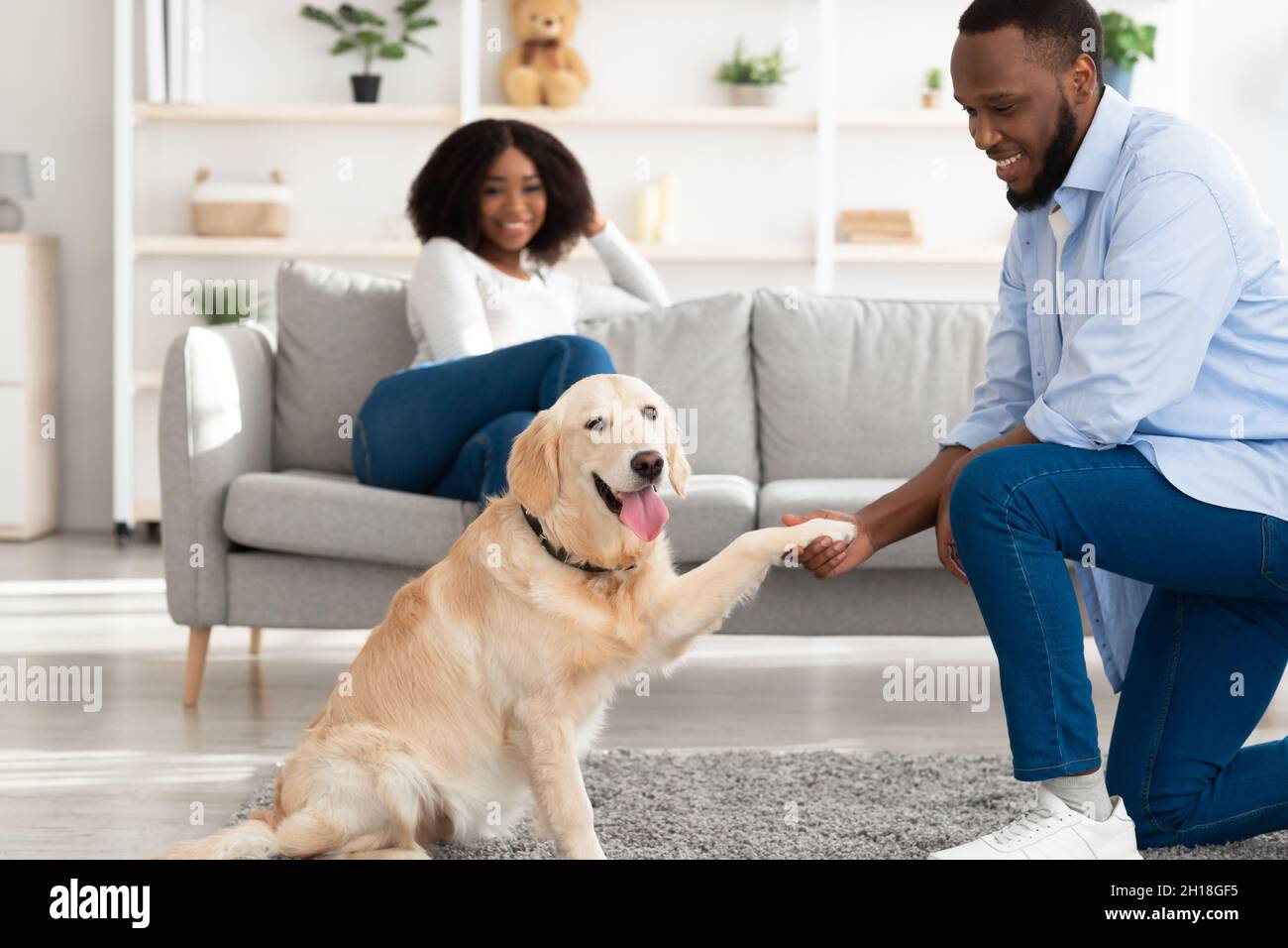 Lächelnder schwarzer Mann, der Hund lehrt, Pfote zu geben Stockfoto